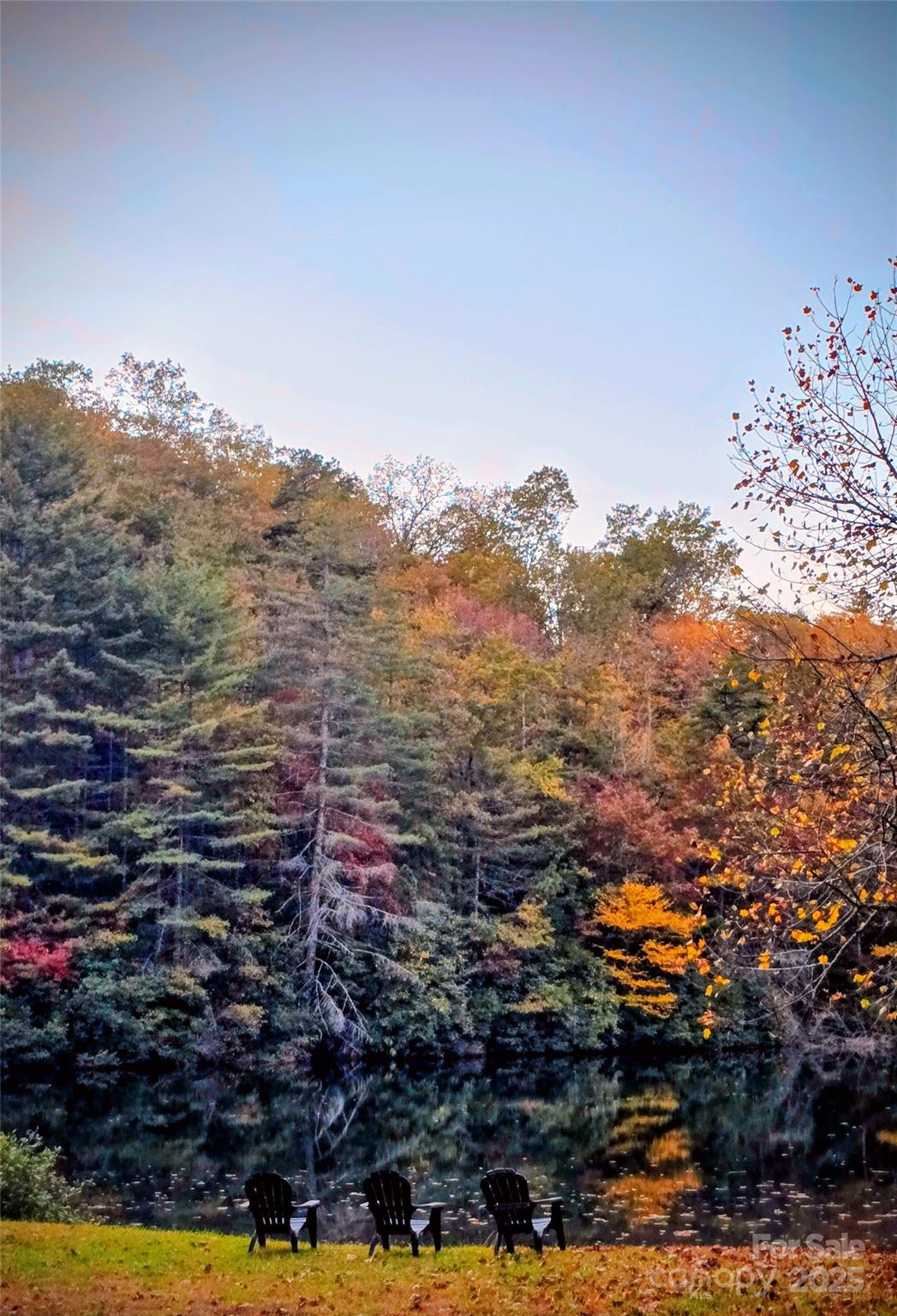 900 Bud Siniard Road Property Photo 41