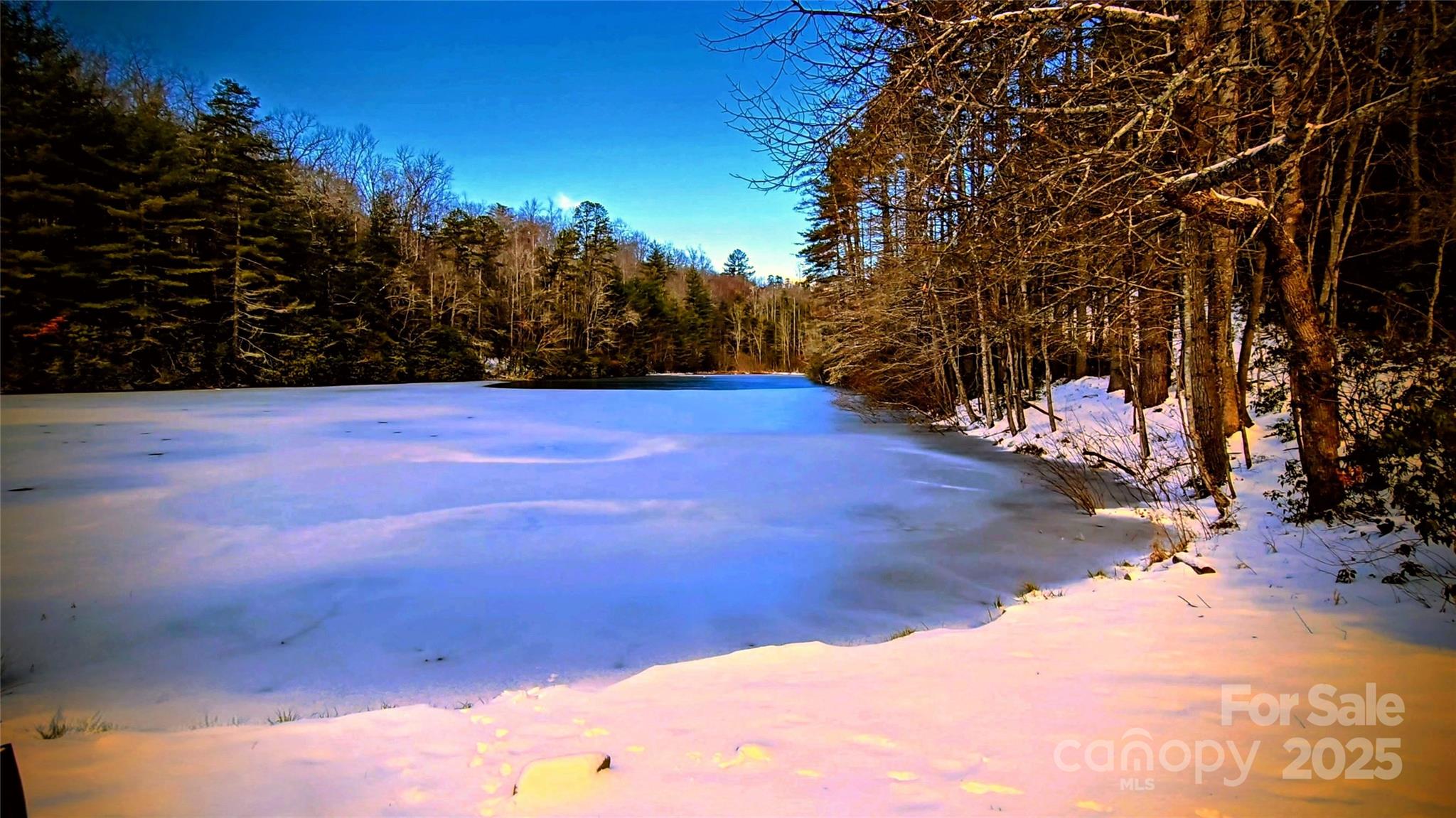 900 Bud Siniard Road Property Photo 43