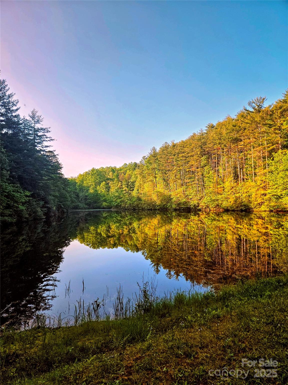 900 Bud Siniard Road Property Photo 44