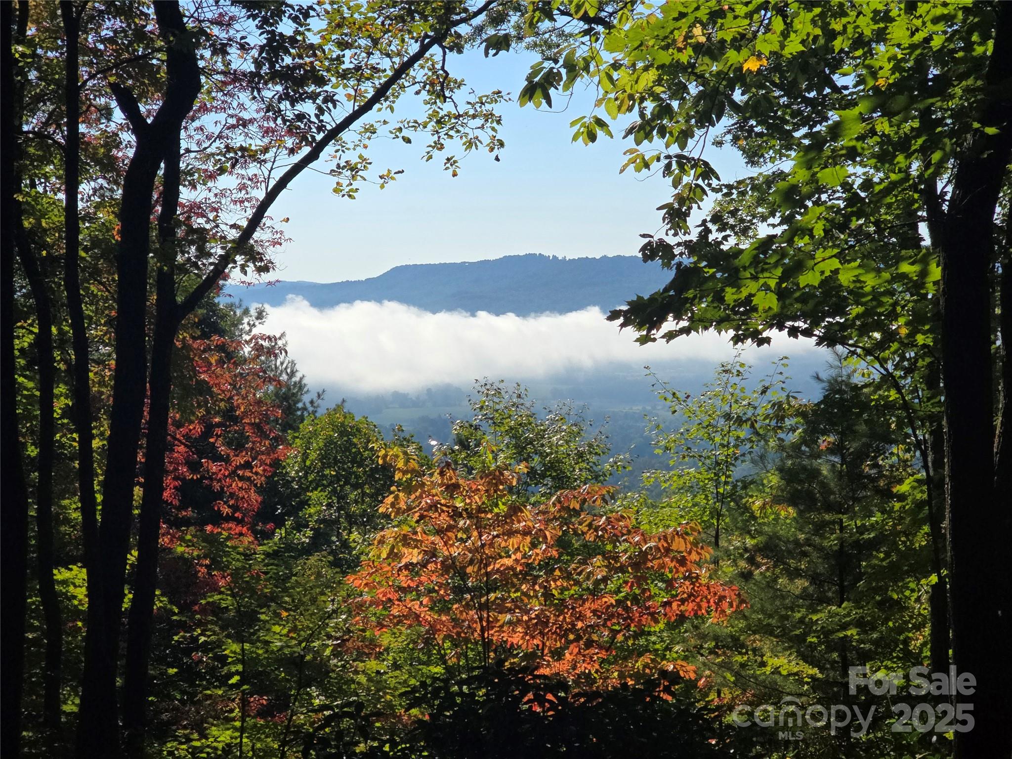 900 Bud Siniard Road Property Photo 48