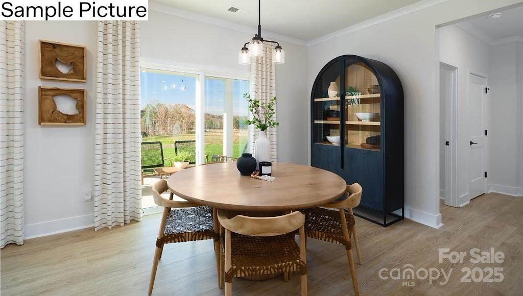 243 Miramar Drive Property Photo 13