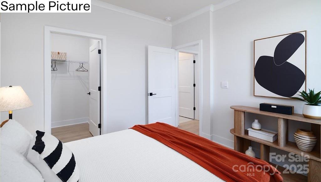 243 Miramar Drive Property Photo 22