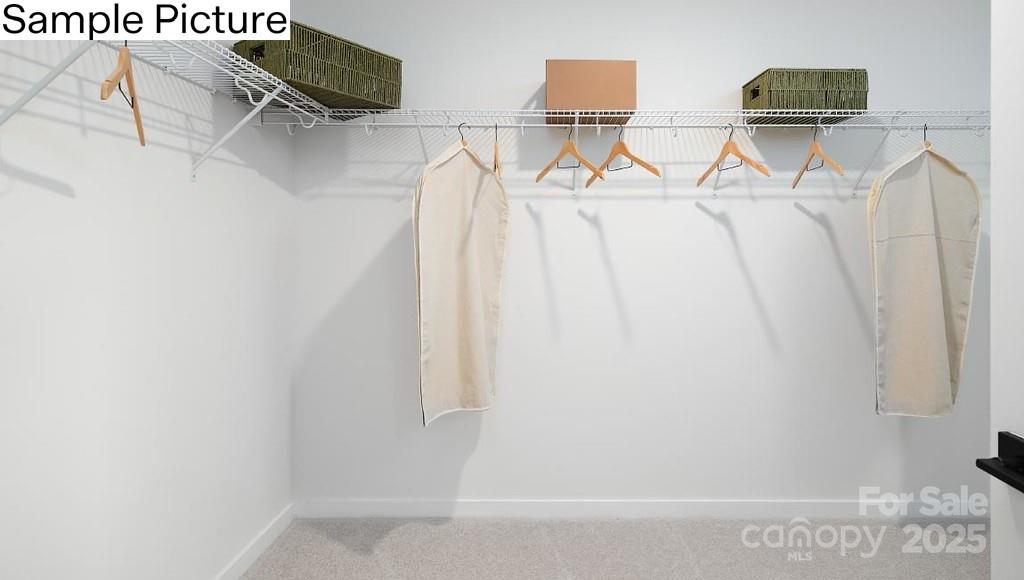 243 Miramar Drive Property Photo 32