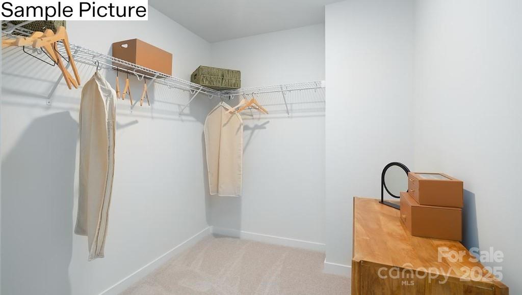 243 Miramar Drive Property Photo 33