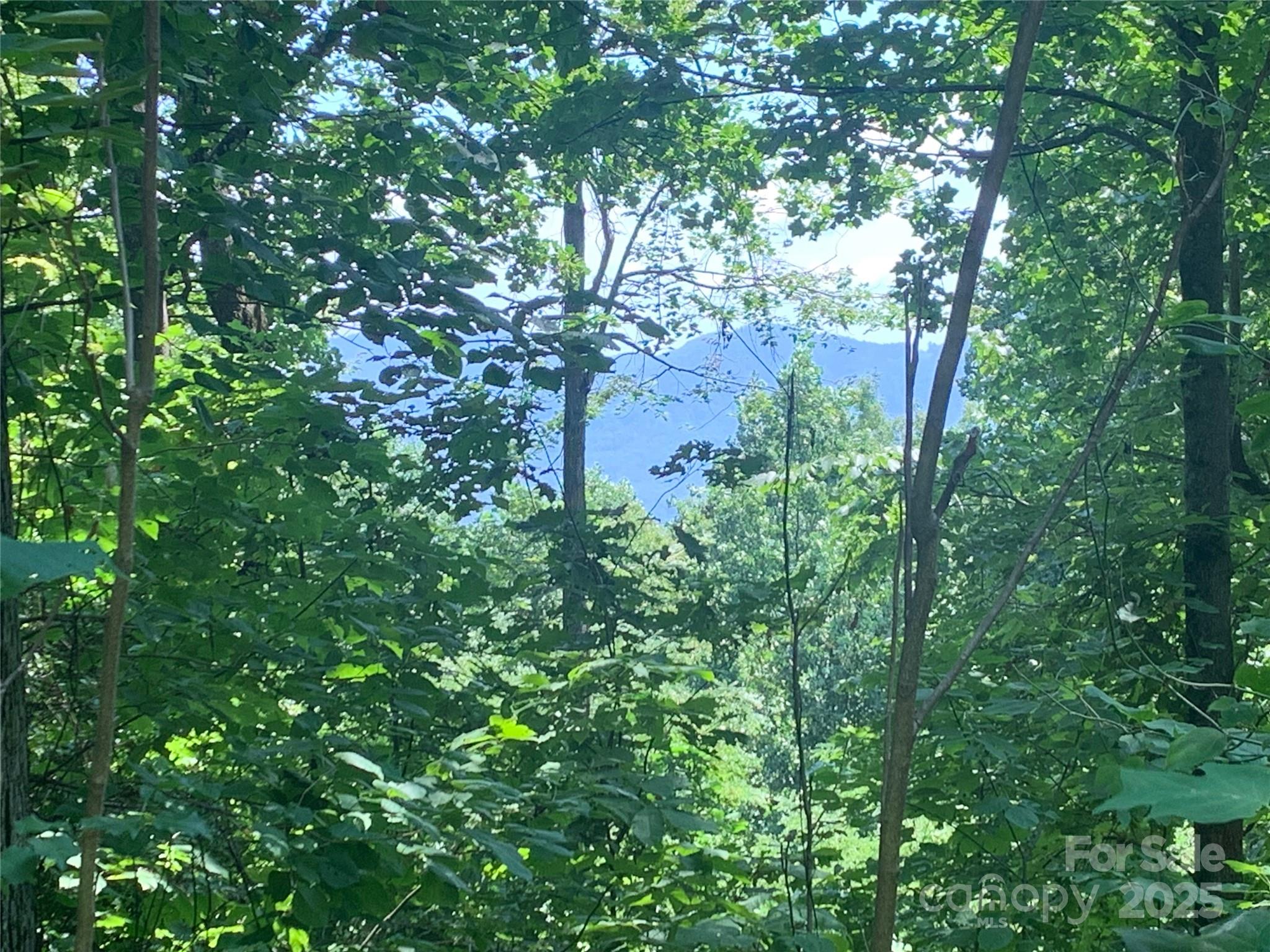 1915 Creston Drive T-18 Property Photo 1