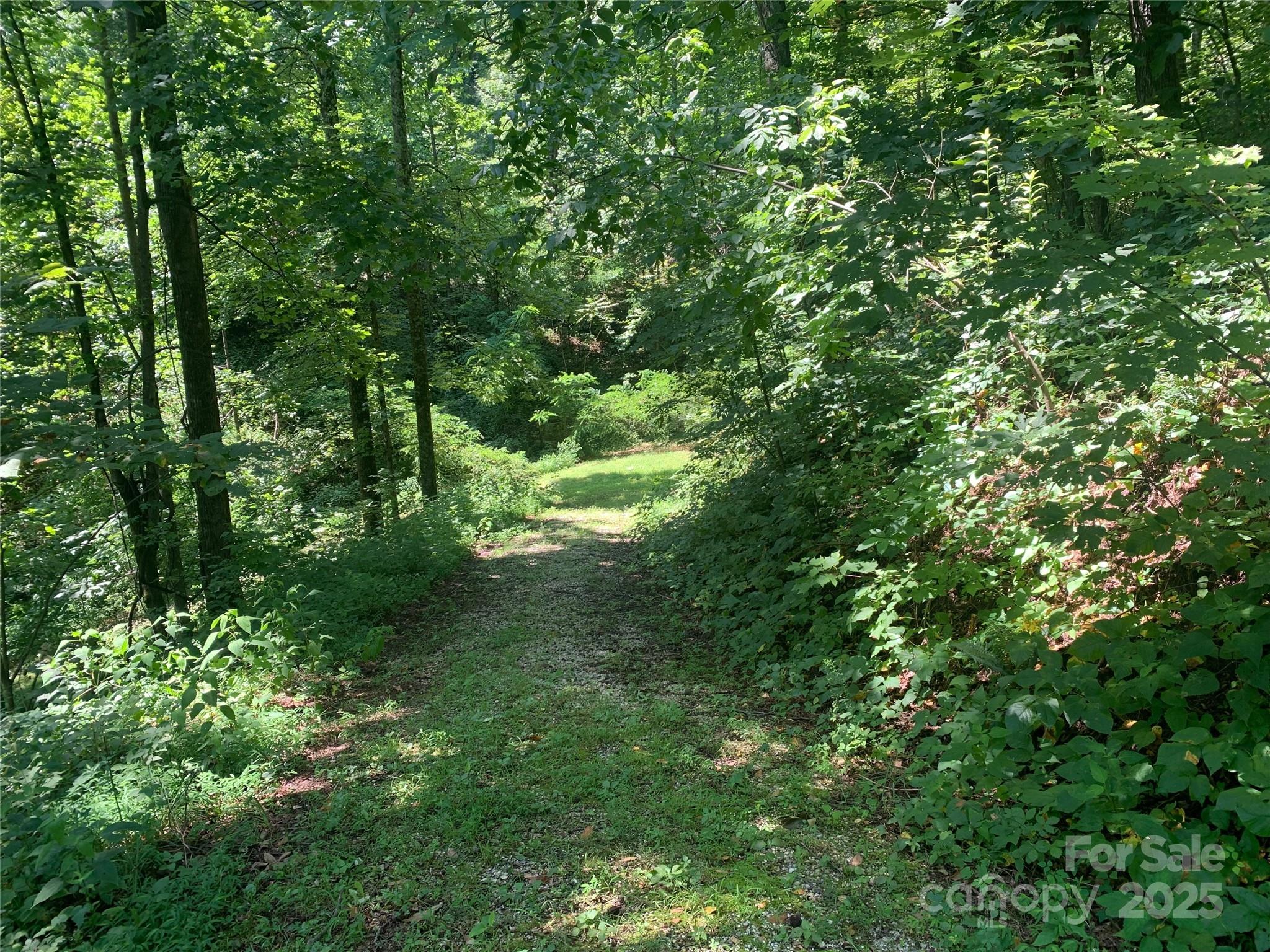 1915 Creston Drive T-18 Property Photo 4