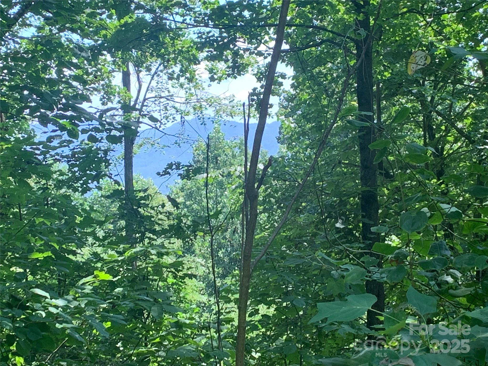 1915 Creston Drive T-18 Property Photo 6