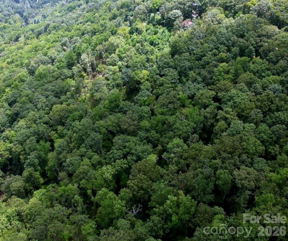 13 Old Mill Road Property Photo 6