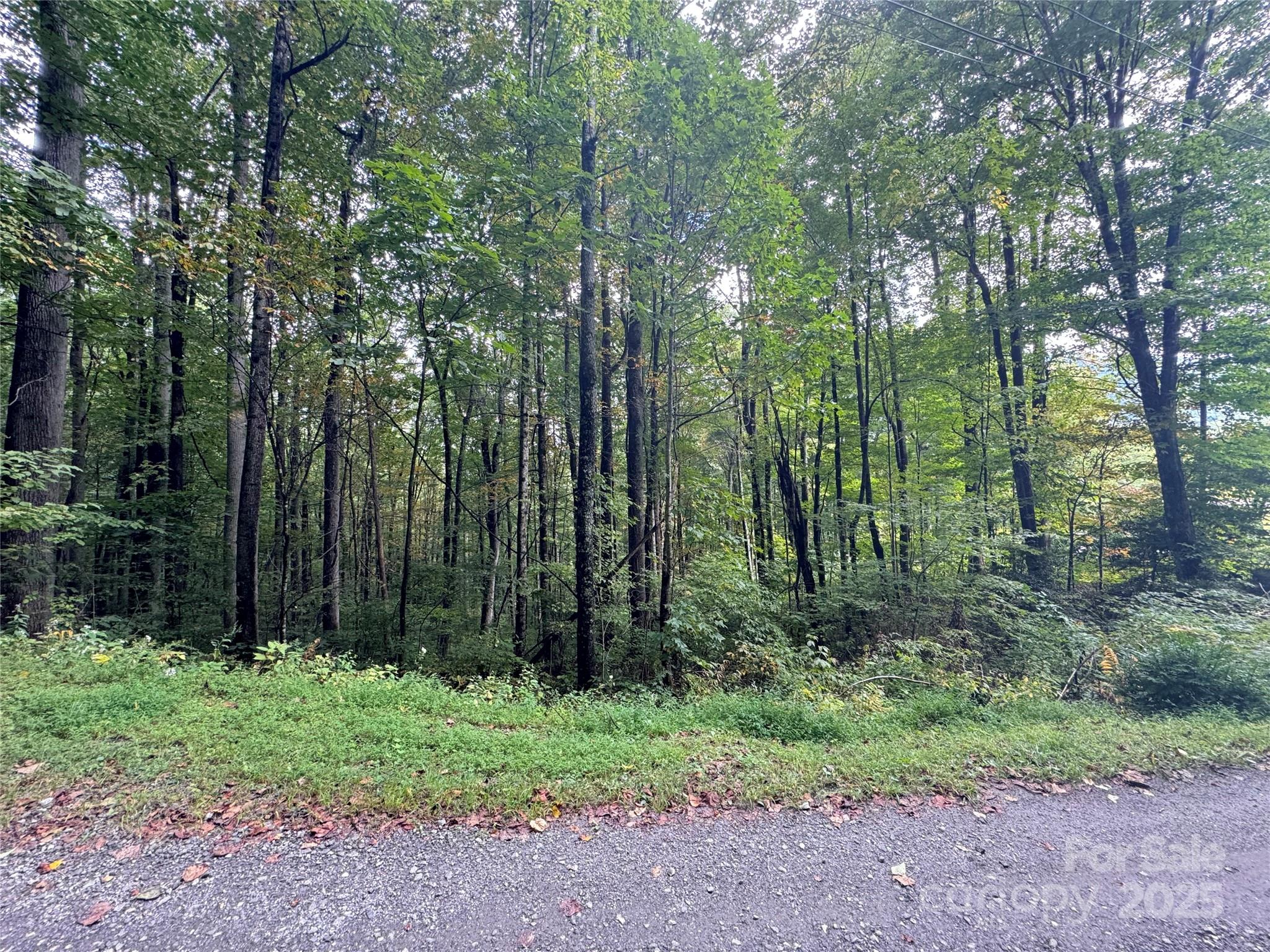 13 Fern Trail Property Photo 1