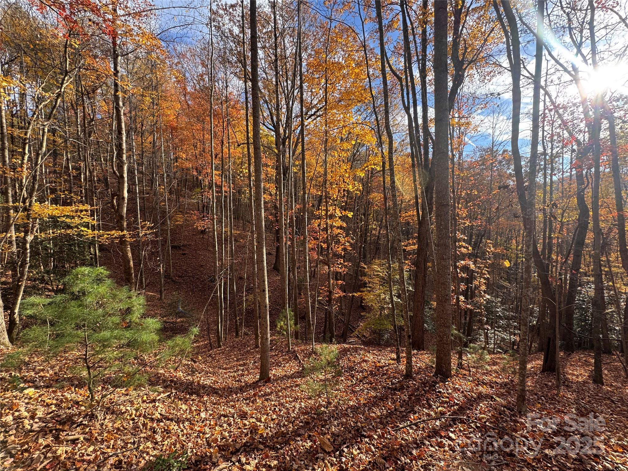 Tbd Winklers Way Road Property Photo 2