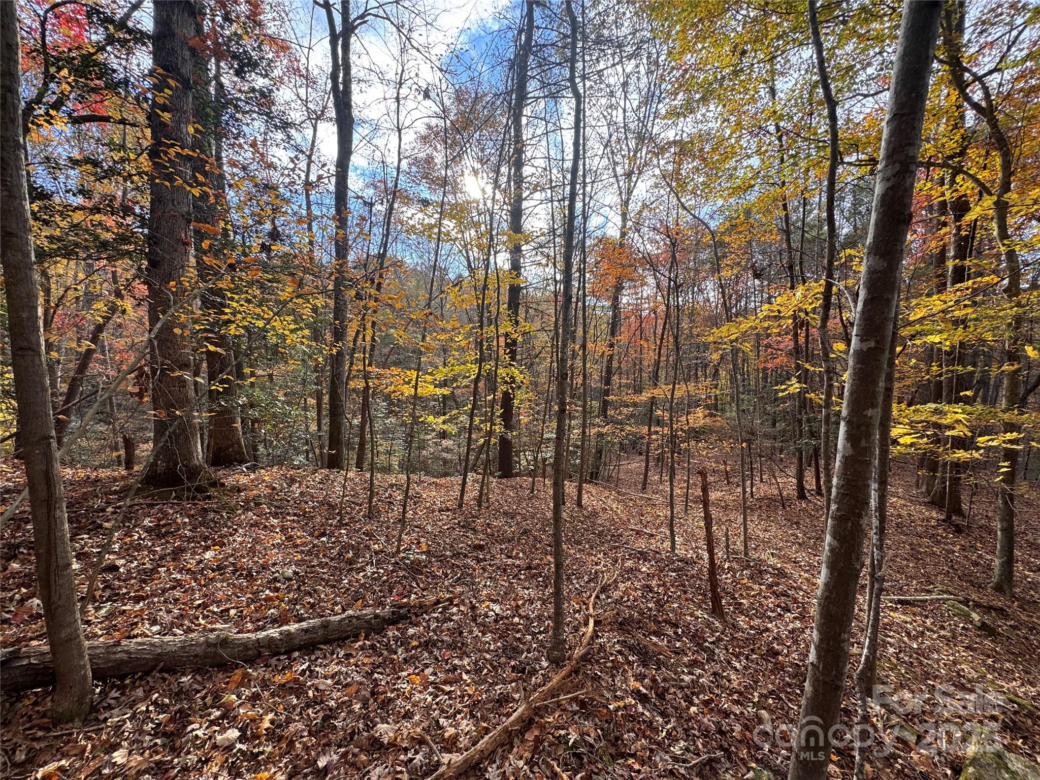 Tbd Winklers Way Road Property Photo 4