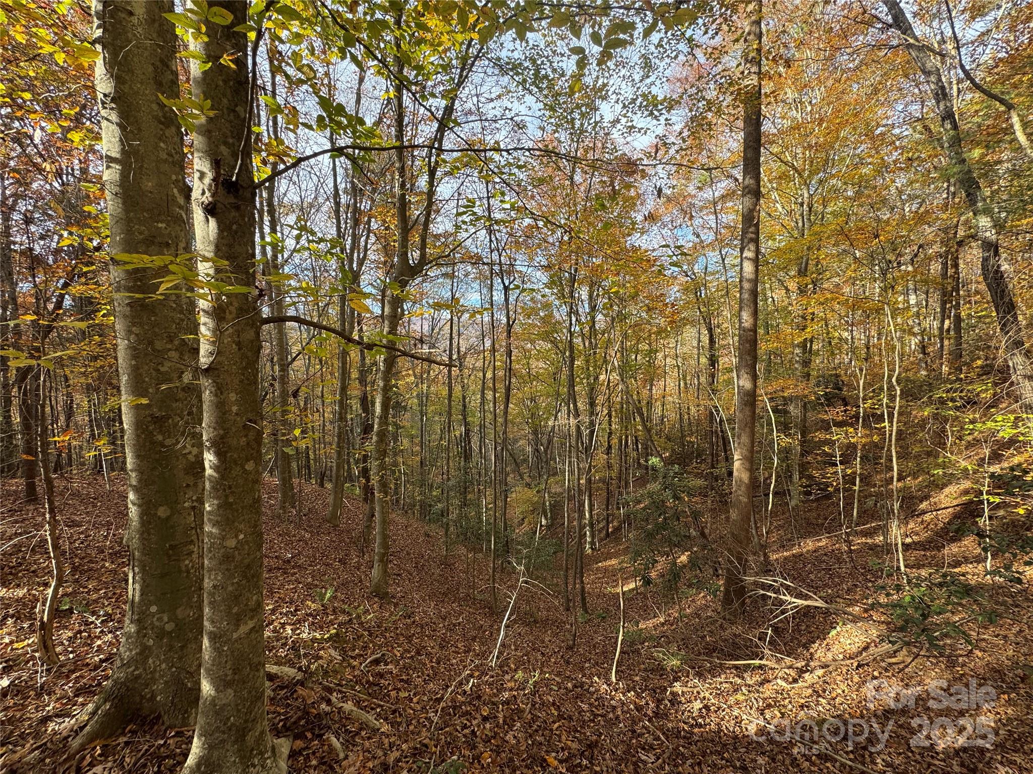 Tbd Winklers Way Road Property Photo 5