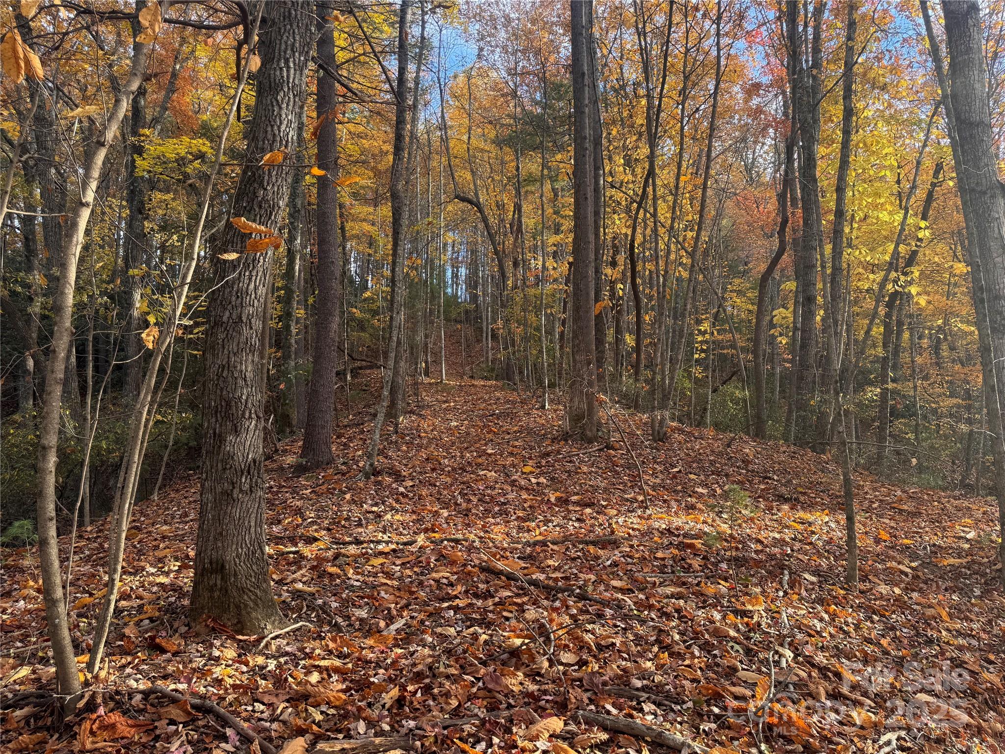 Tbd Winklers Way Road Property Photo 6