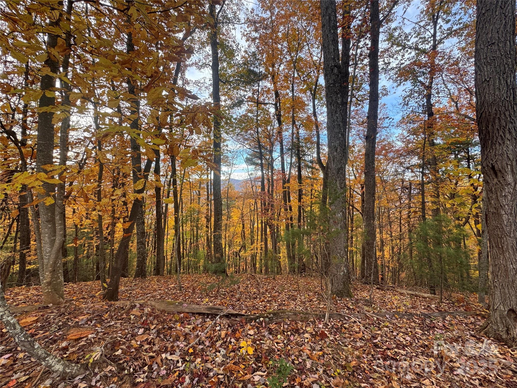 Tbd Winklers Way Road Property Photo 7