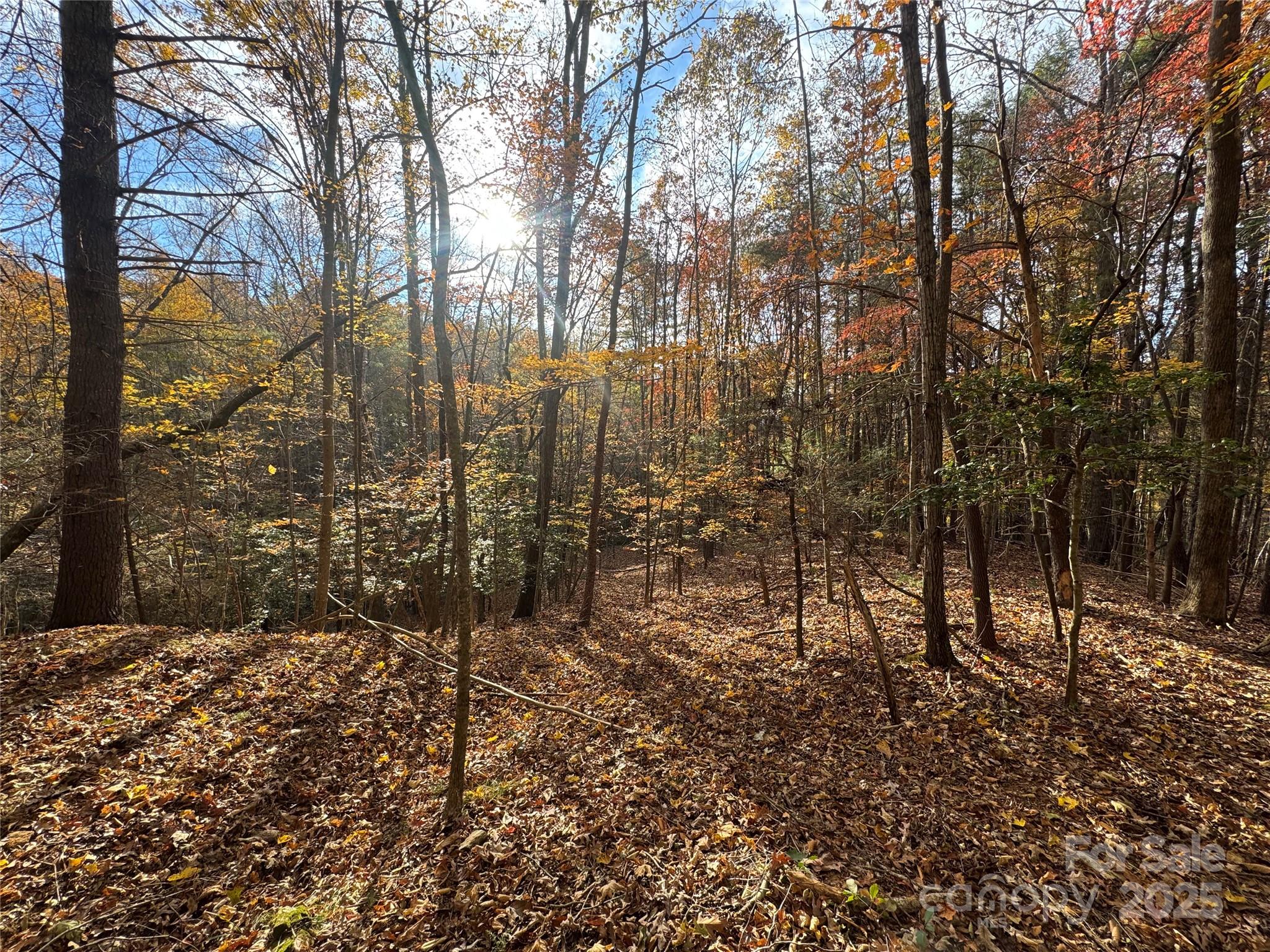 Tbd Winklers Way Road Property Photo 8