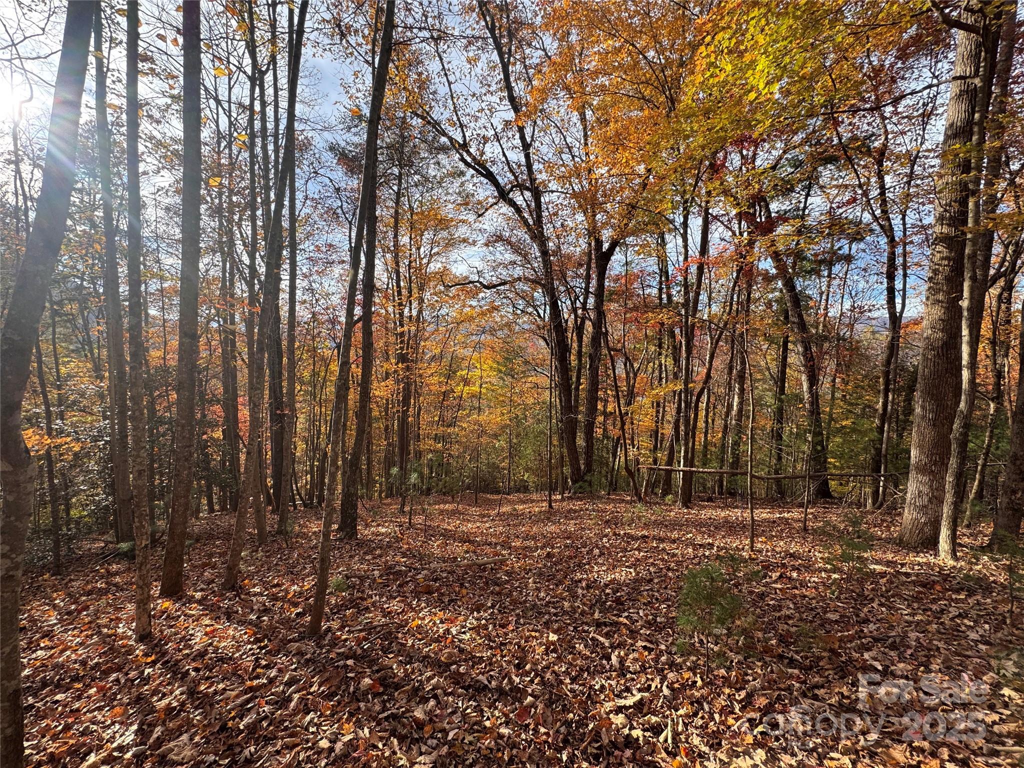 Tbd Winklers Way Road Property Photo 9