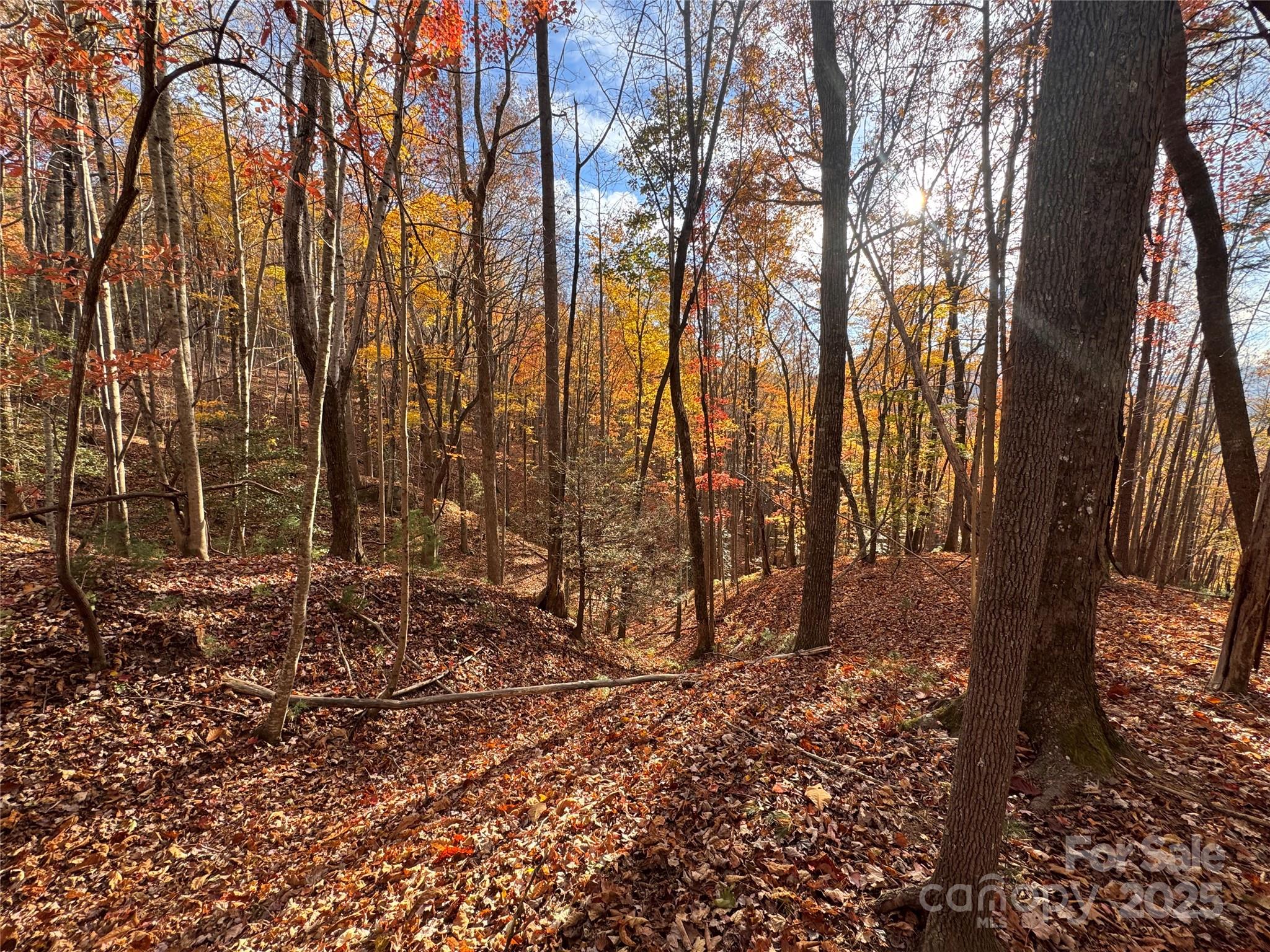 Tbd Winklers Way Road Property Photo 10