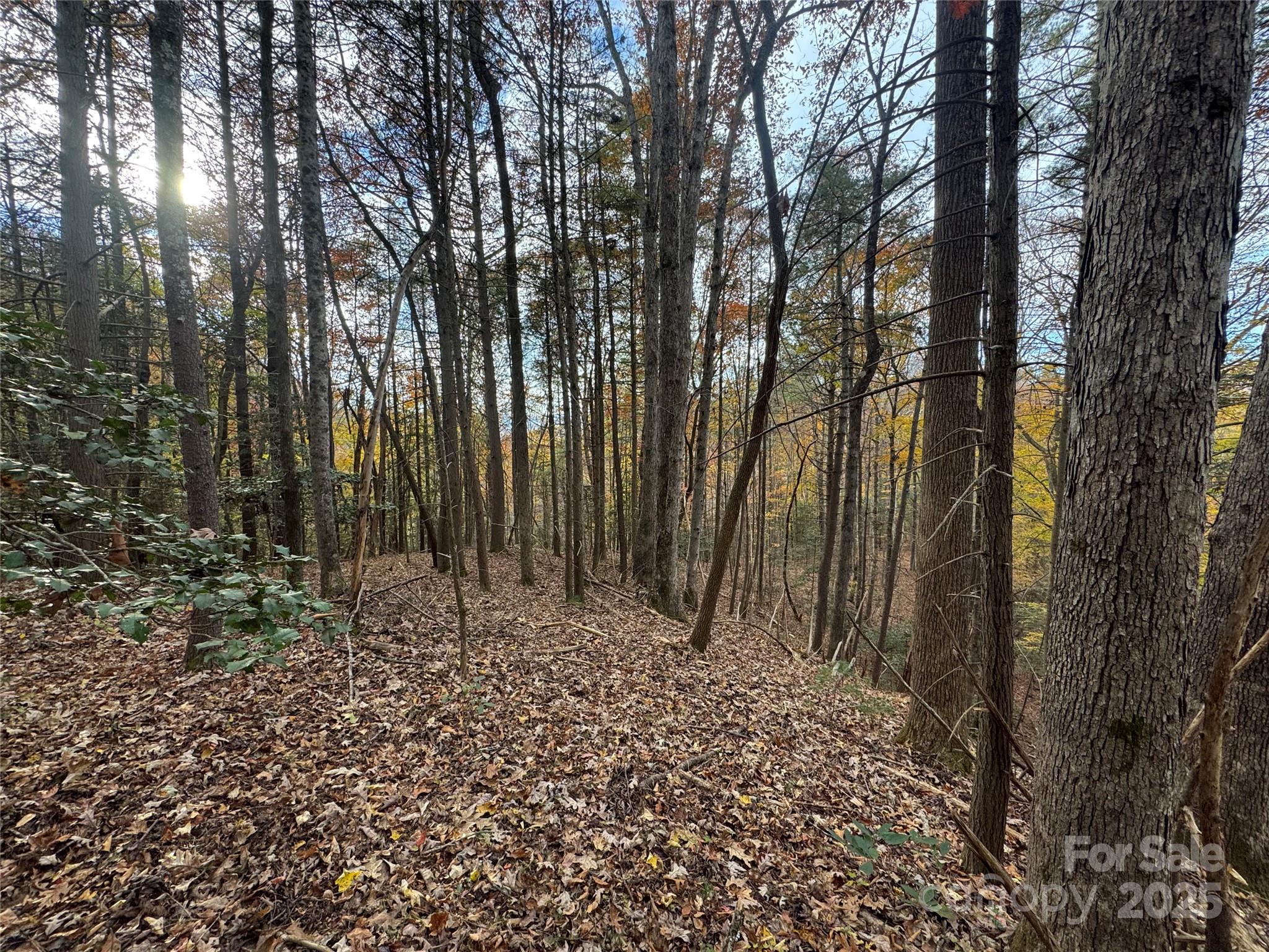 Tbd Winklers Way Road Property Photo 11