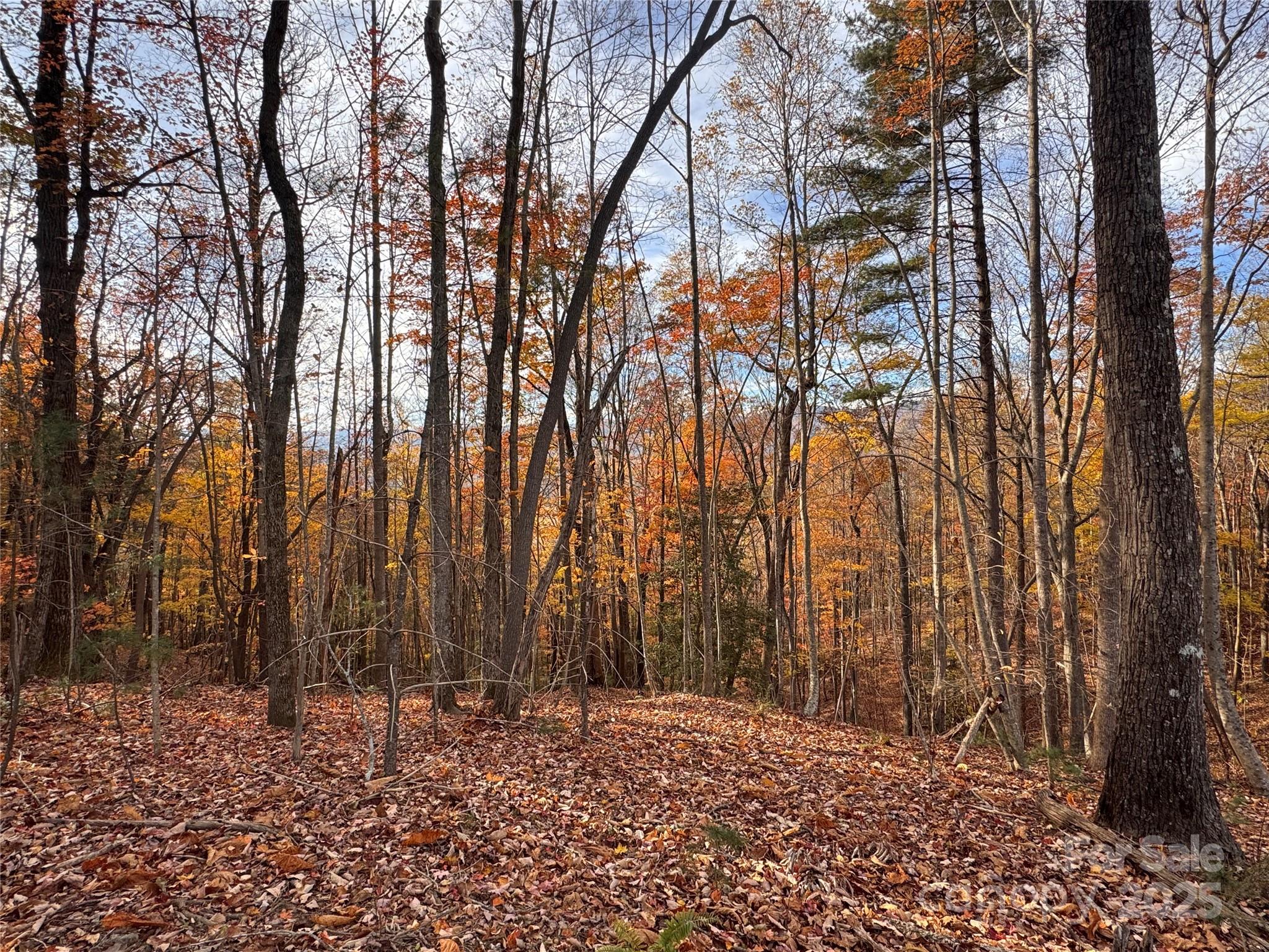 Tbd Winklers Way Road Property Photo 12