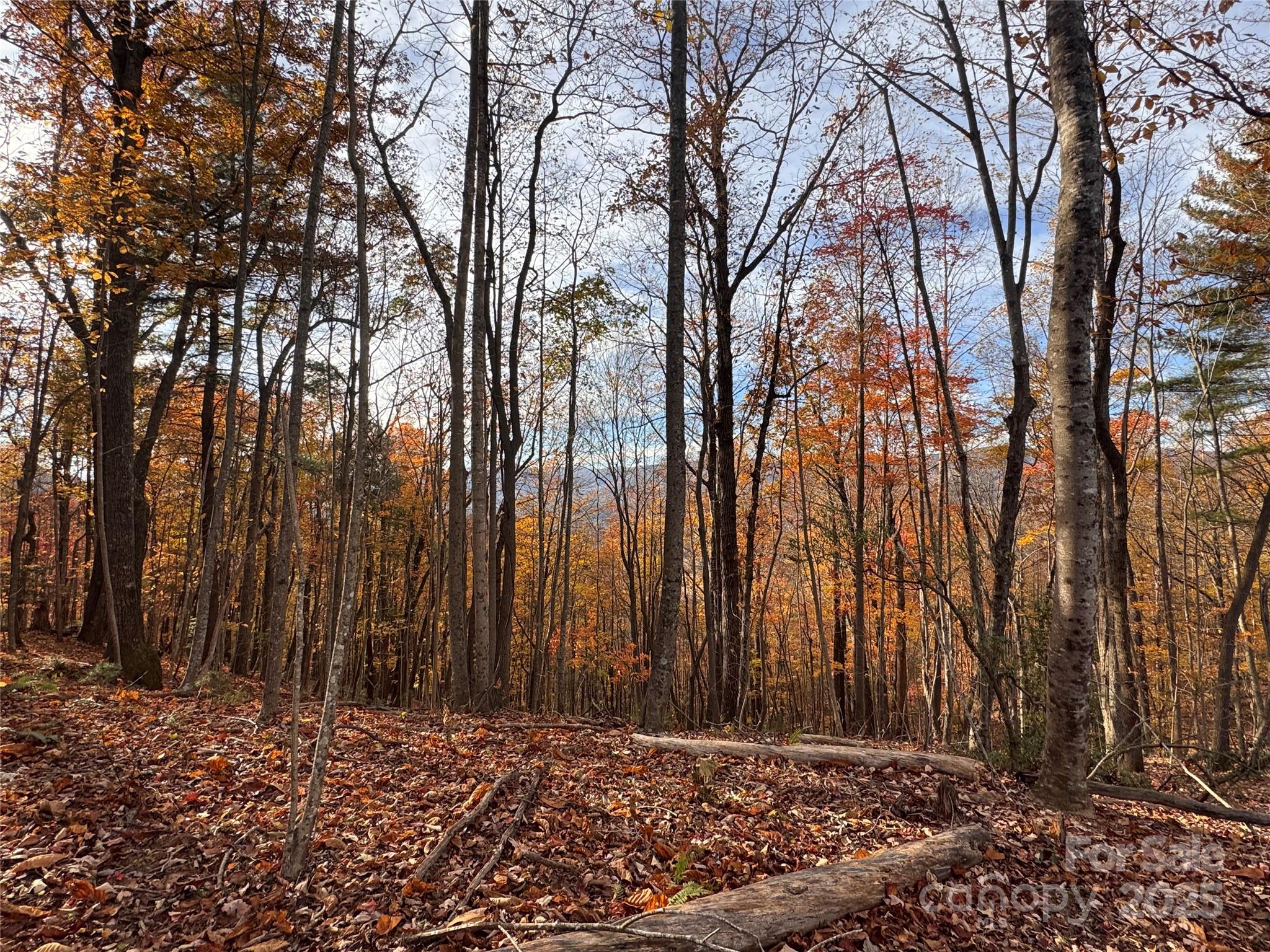 Tbd Winklers Way Road Property Photo 13