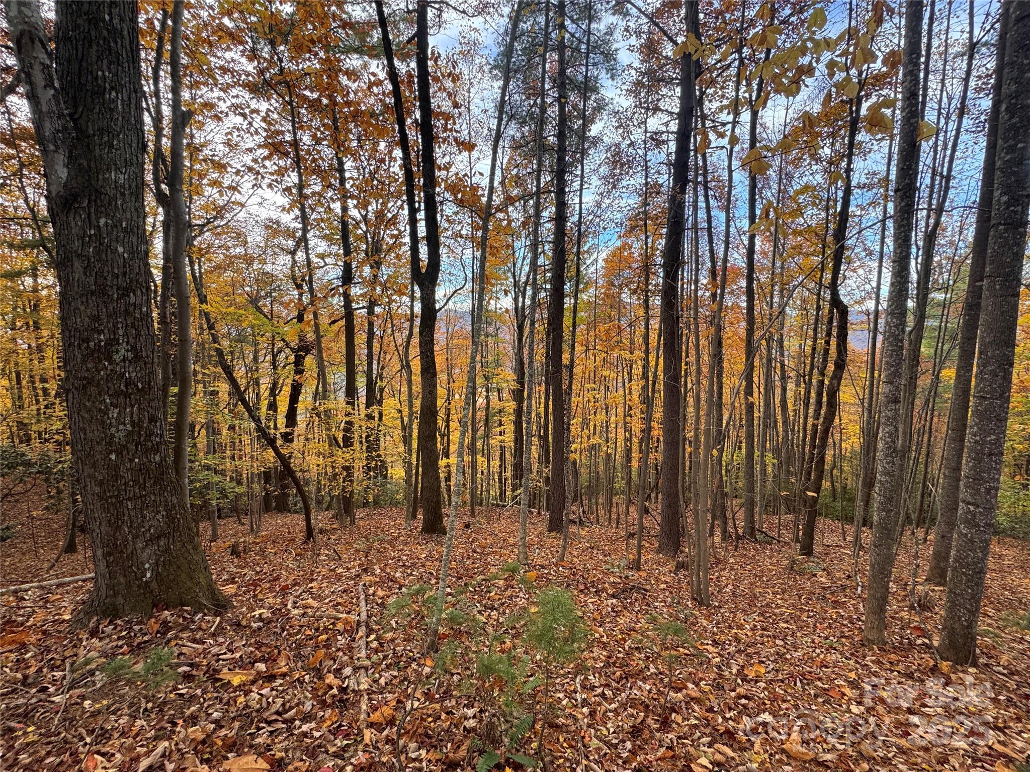 Tbd Winklers Way Road Property Photo 14