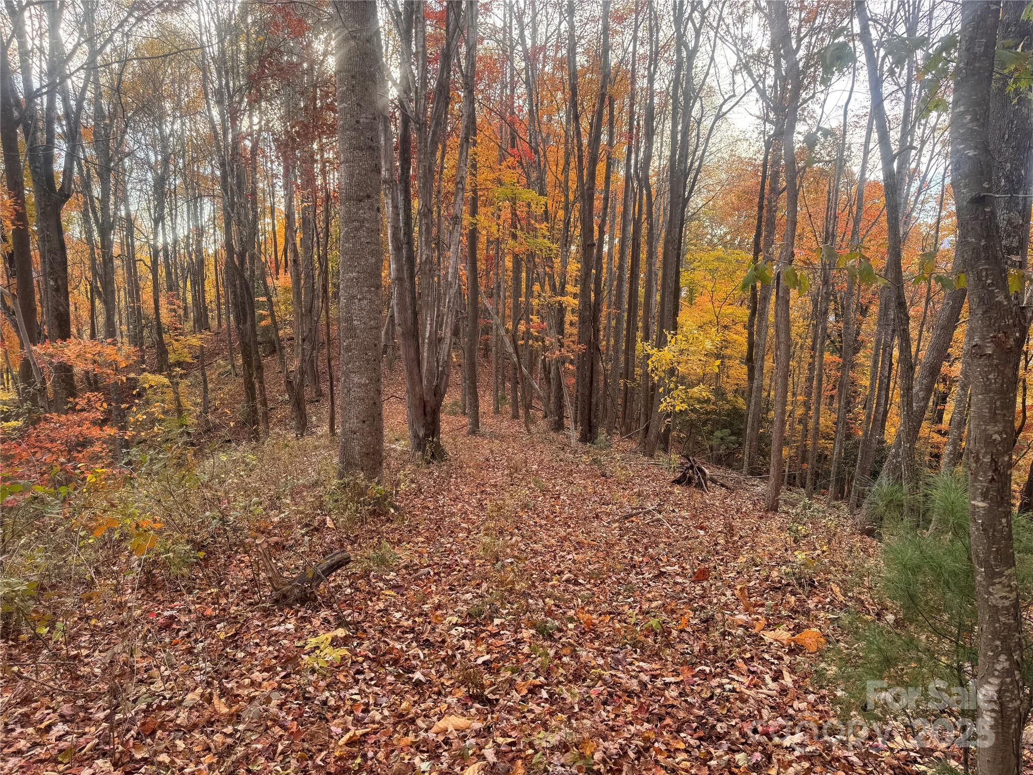 Tbd Winklers Way Road Property Photo 15