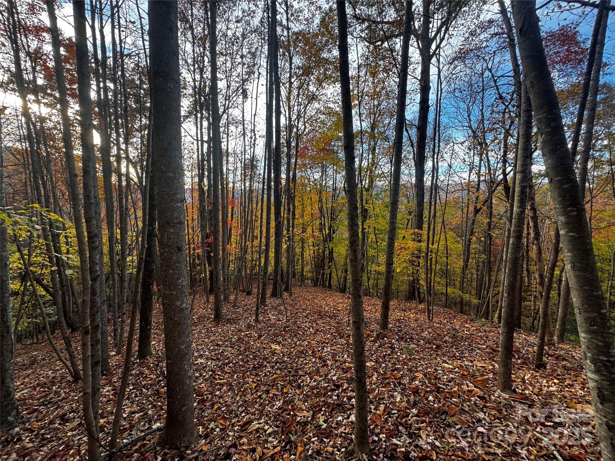 Tbd Winklers Way Road Property Photo 16