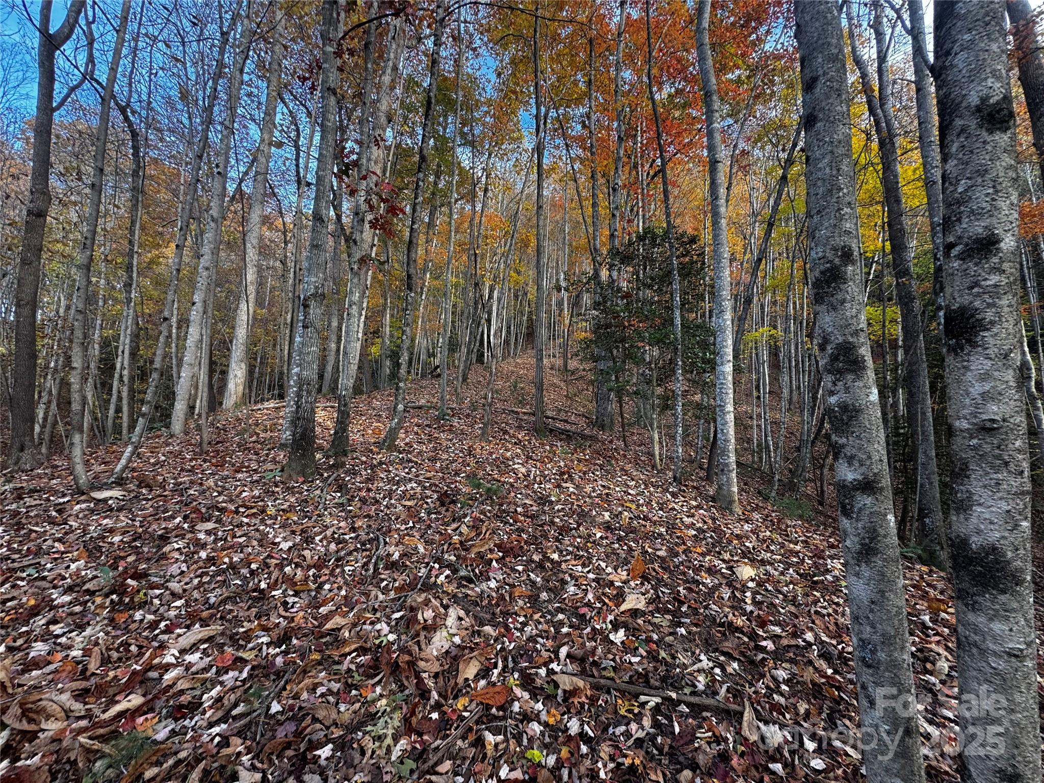 Tbd Winklers Way Road Property Photo 17