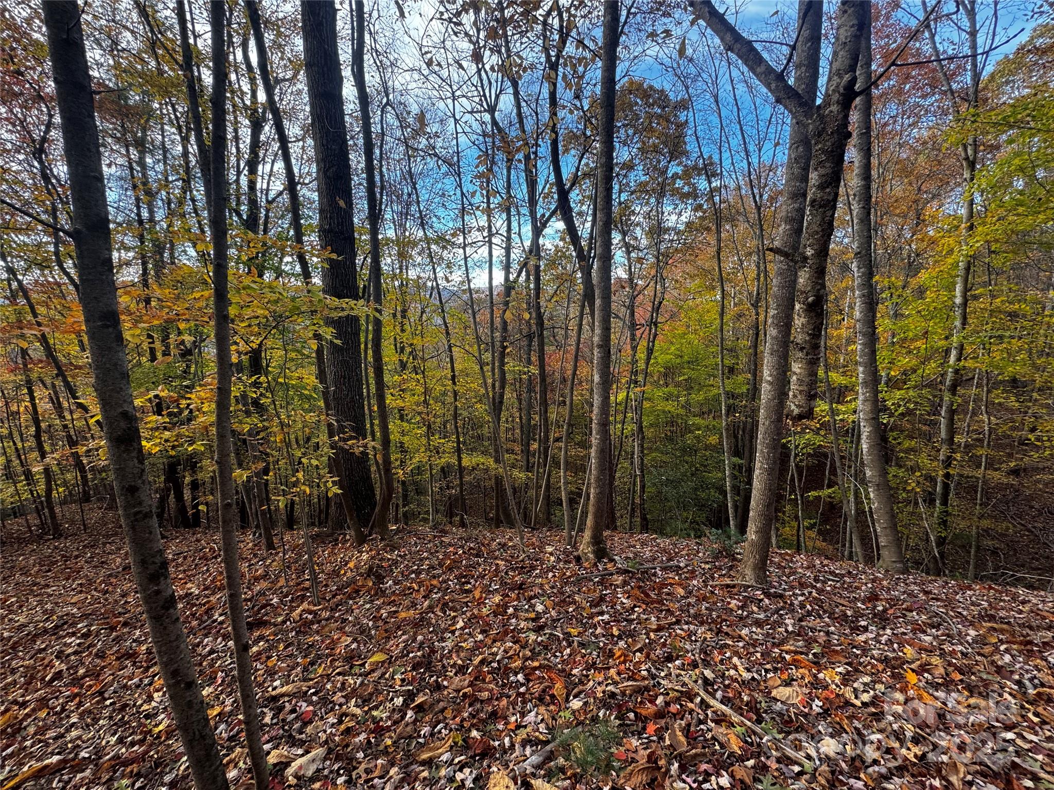 Tbd Winklers Way Road Property Photo 18