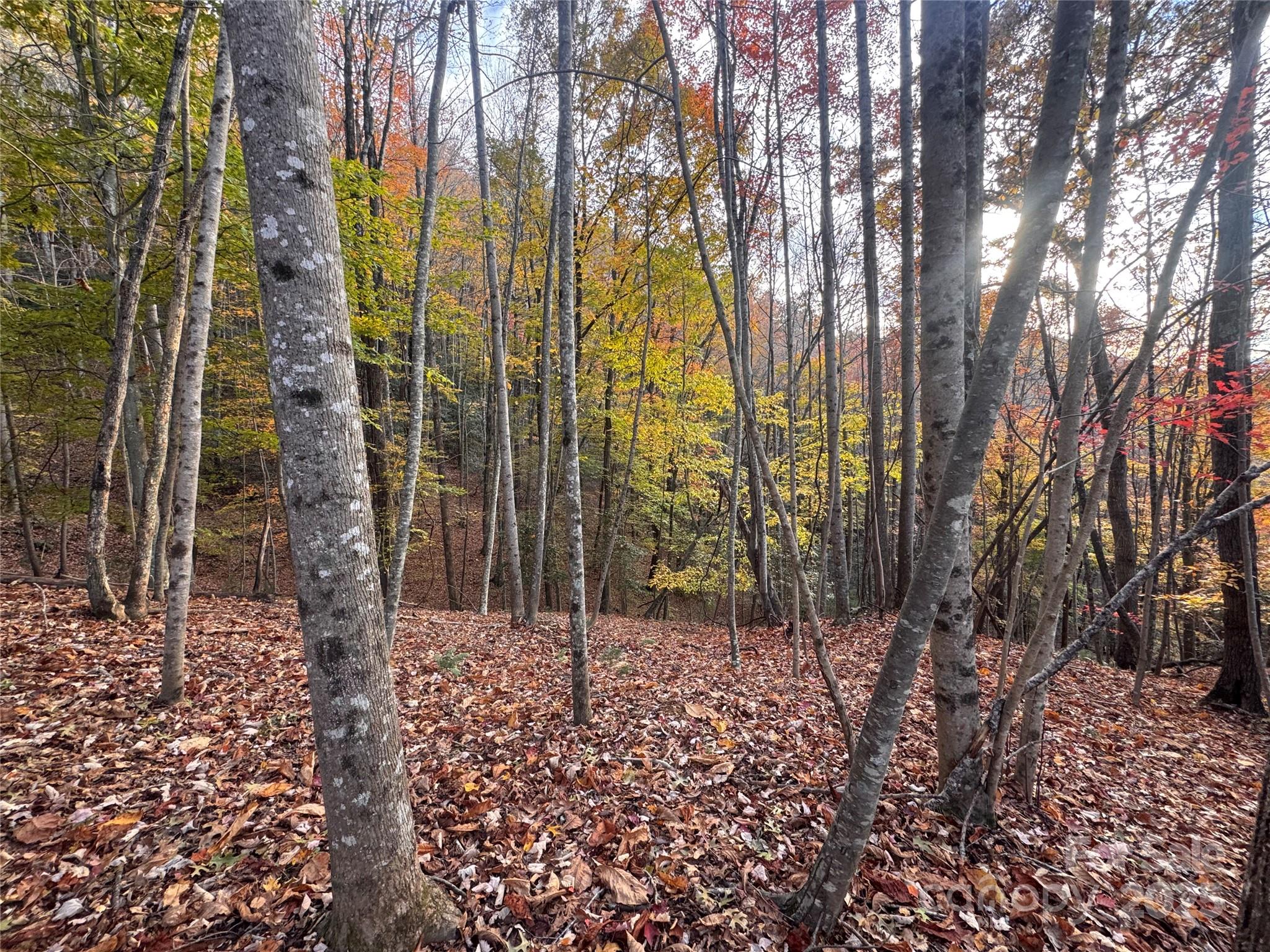 Tbd Winklers Way Road Property Photo 19