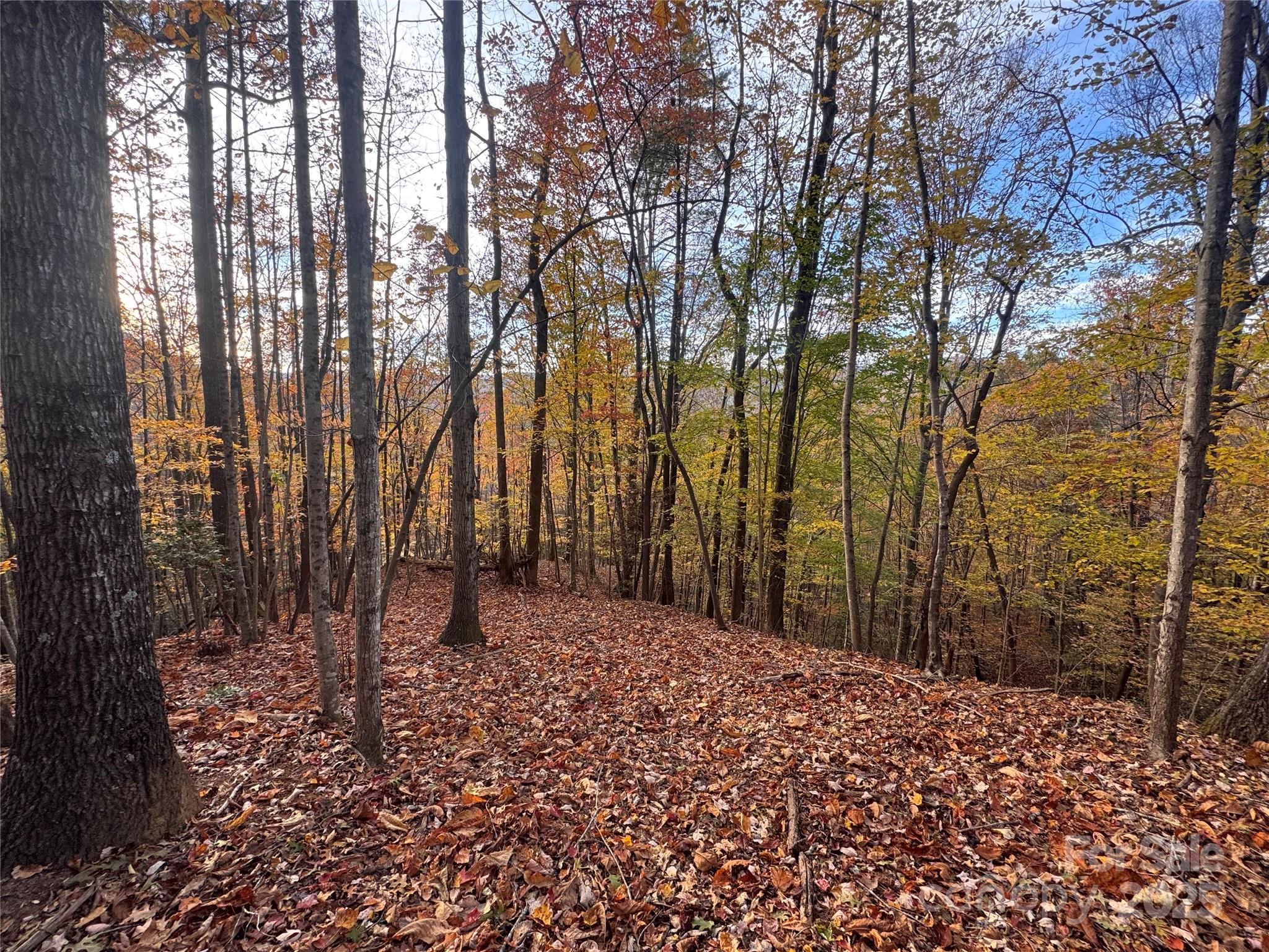 Tbd Winklers Way Road Property Photo 20