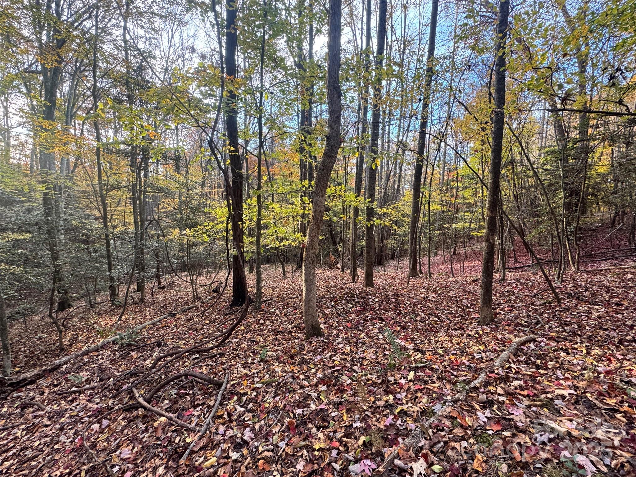 Tbd Winklers Way Road Property Photo 21