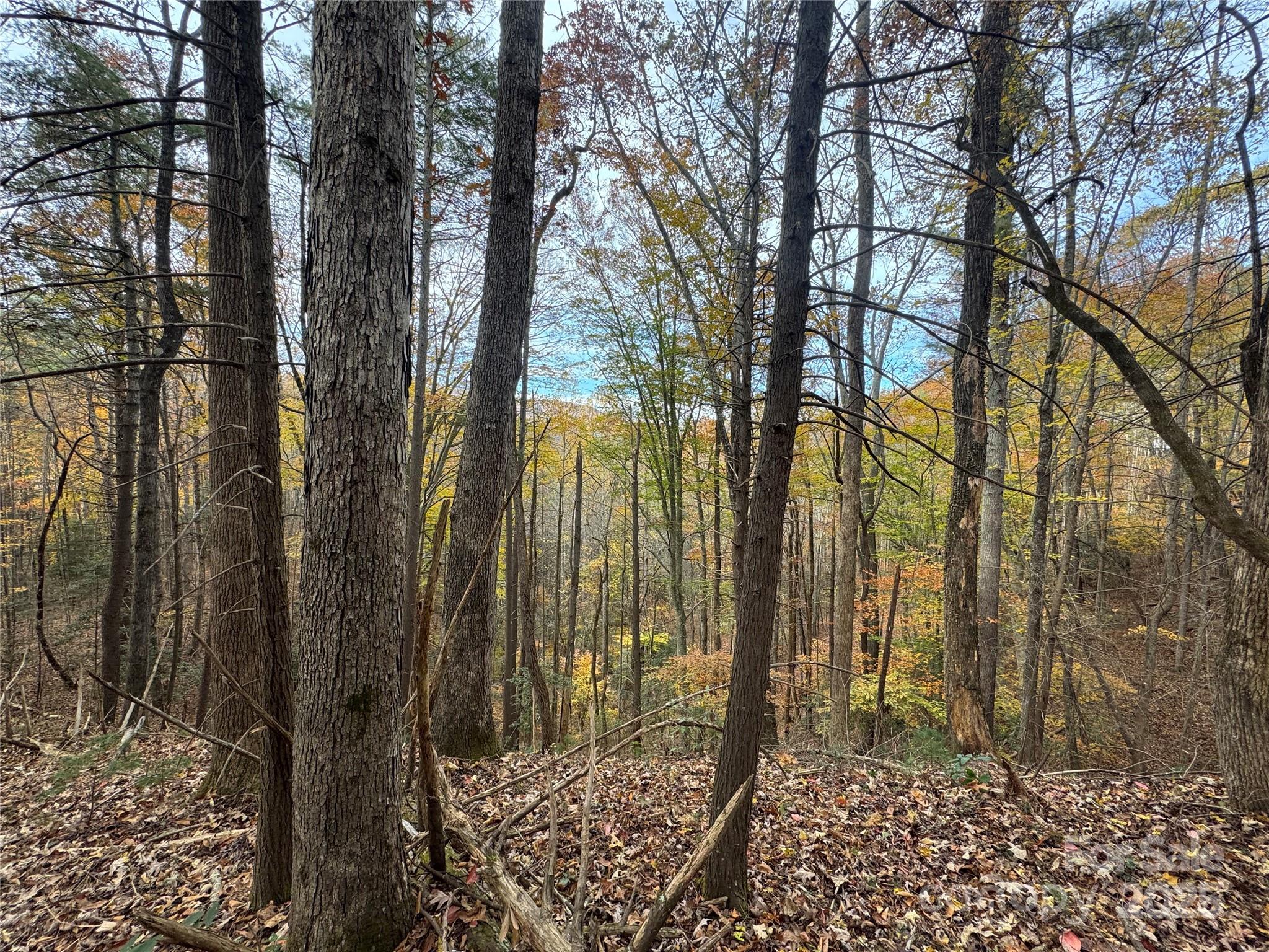 Tbd Winklers Way Road Property Photo 22