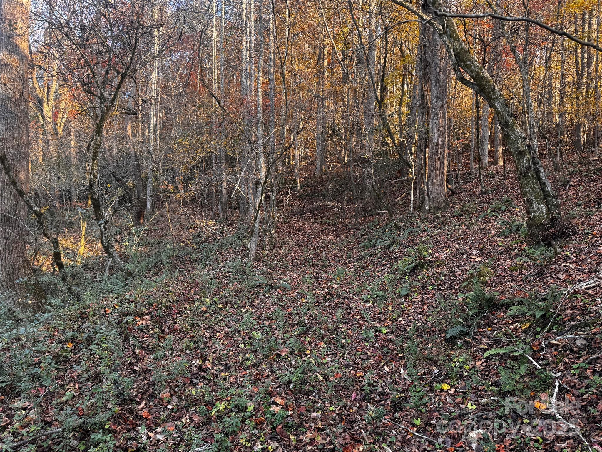 Tbd Winklers Way Road Property Photo 23