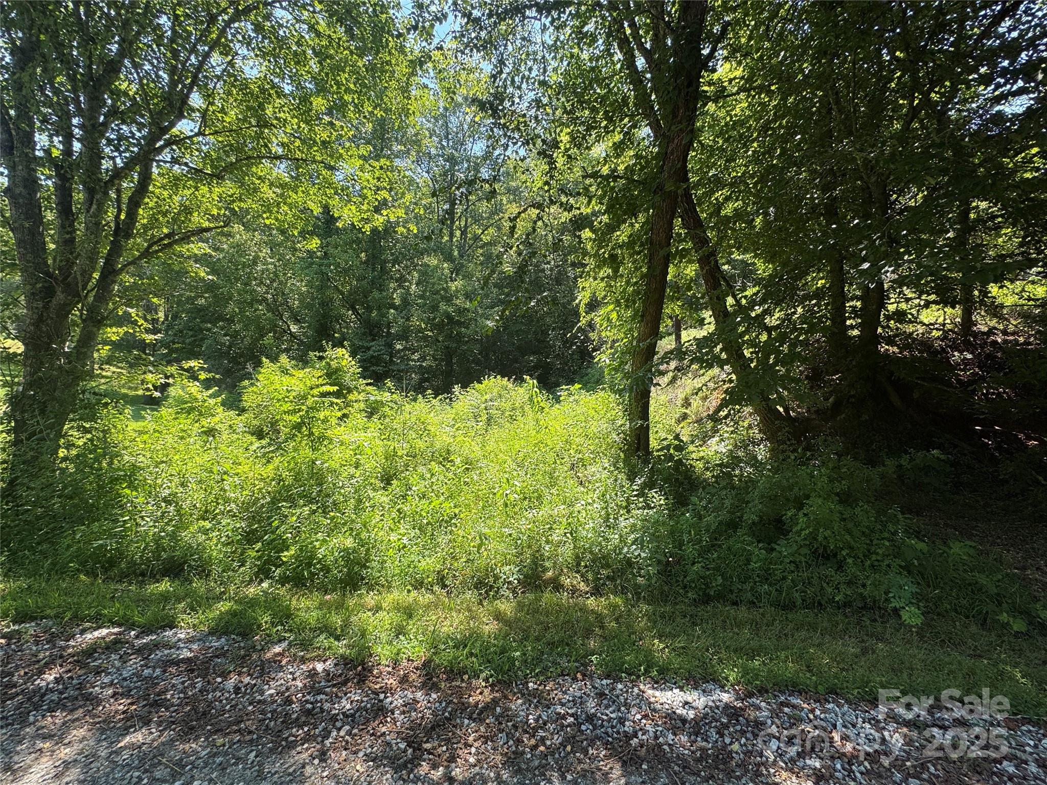 Tbd Winklers Way Road Property Photo 24