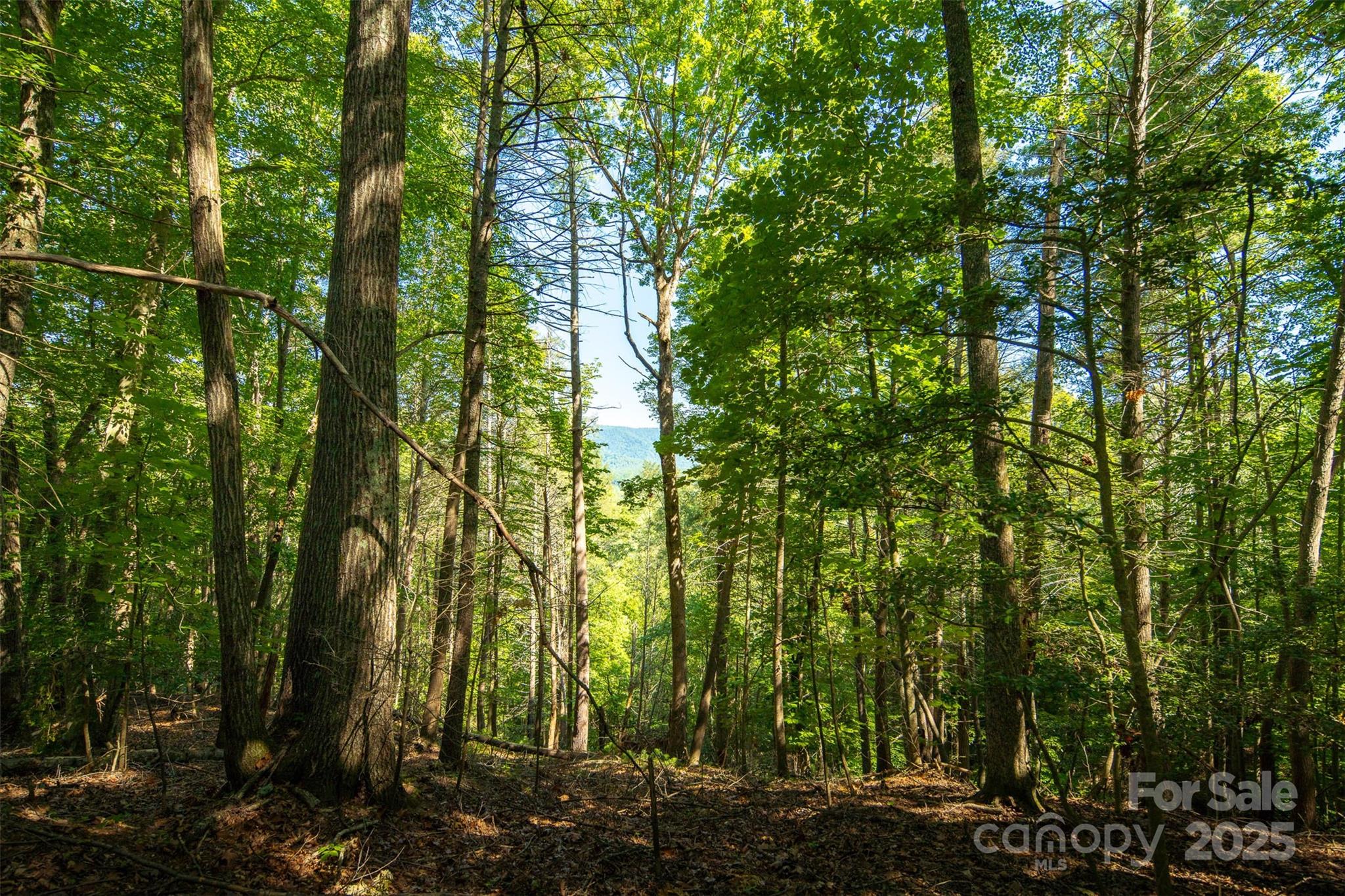 Tbd Winklers Way Road Property Photo 25