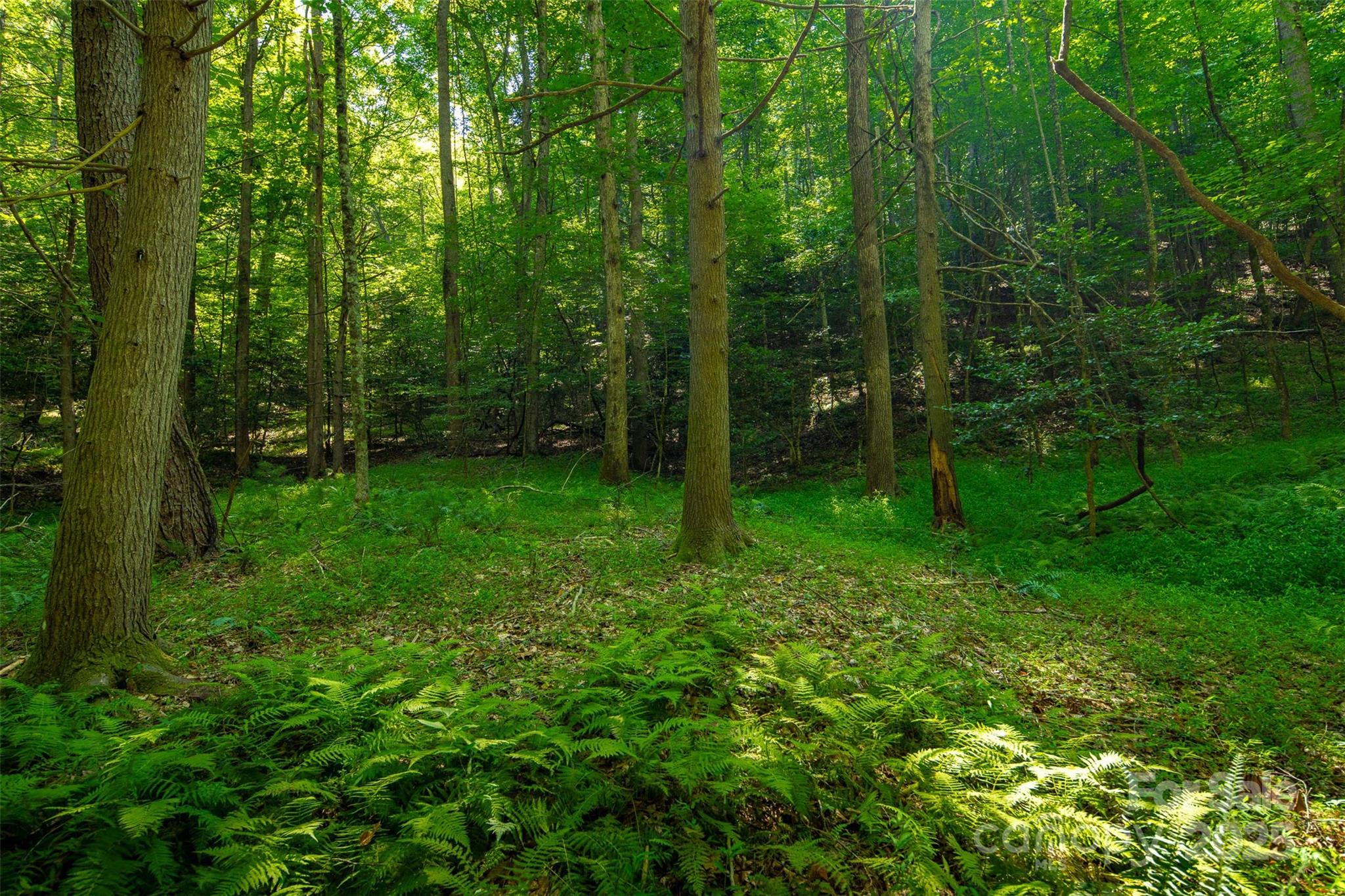 Tbd Winklers Way Road Property Photo 26