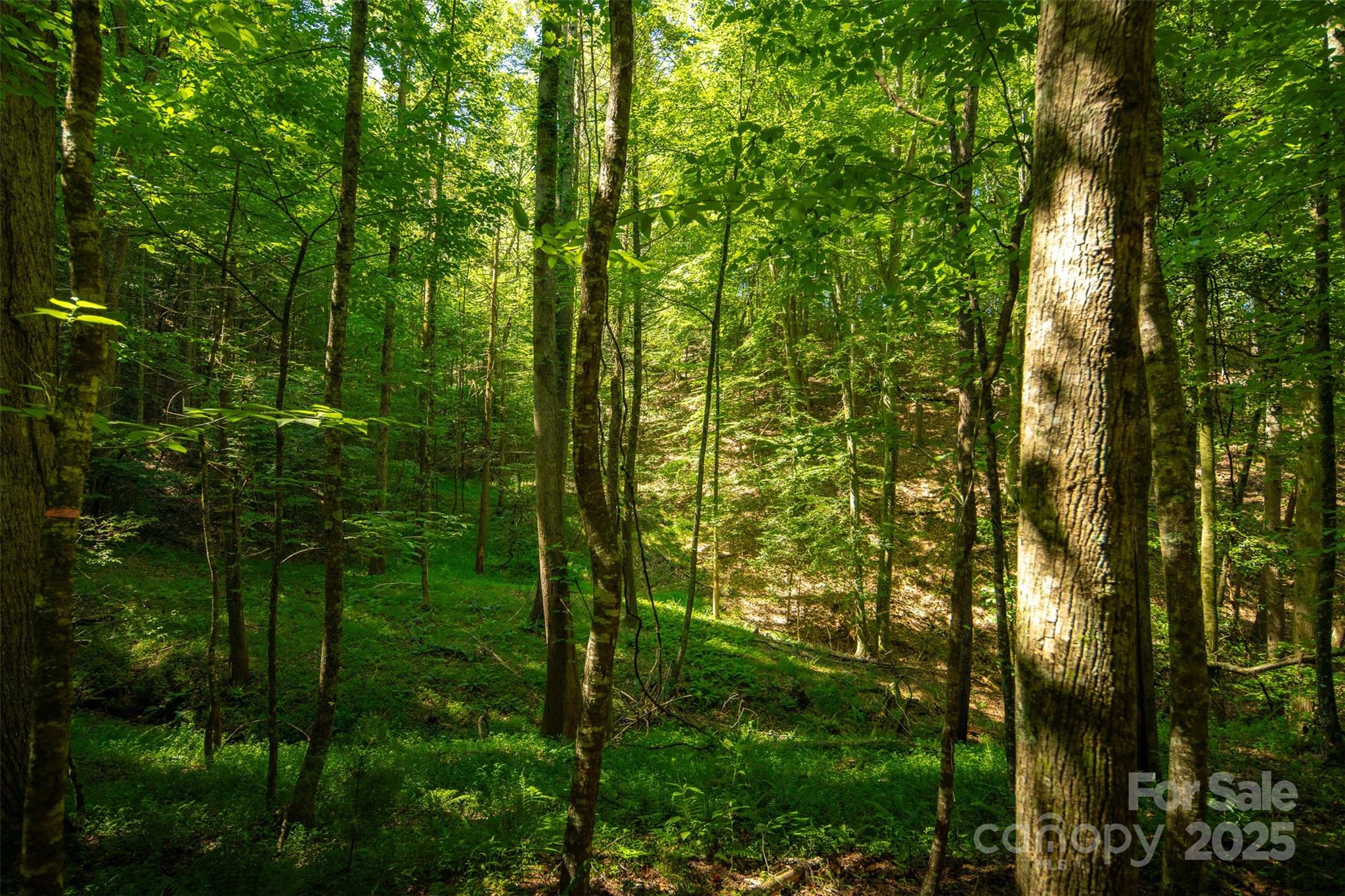 Tbd Winklers Way Road Property Photo 27