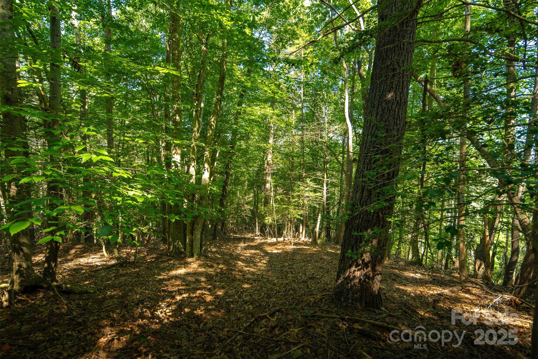 Tbd Winklers Way Road Property Photo 28