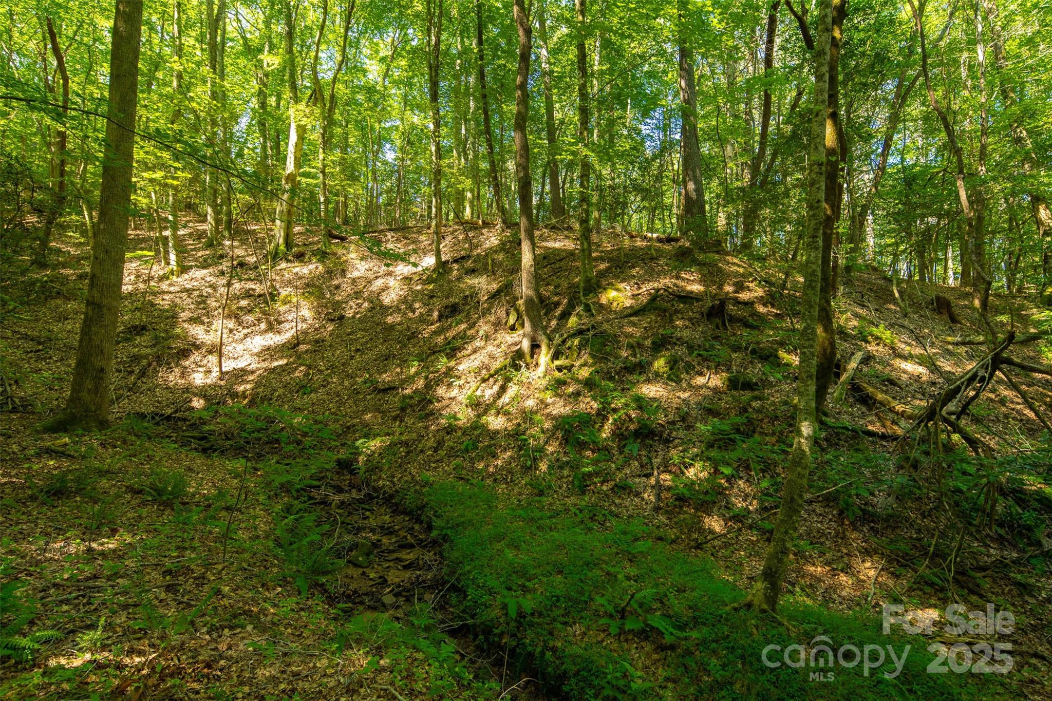 Tbd Winklers Way Road Property Photo 29