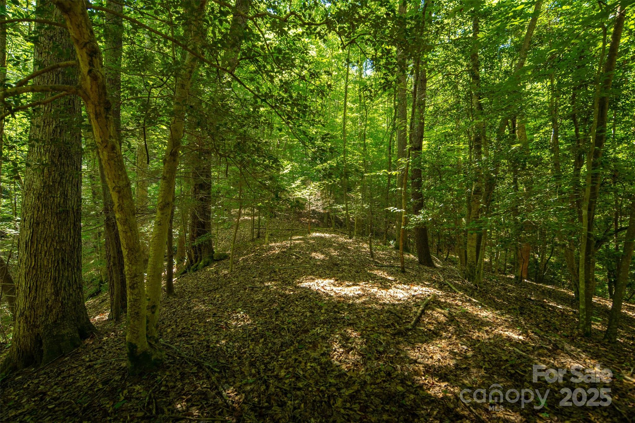 Tbd Winklers Way Road Property Photo 30