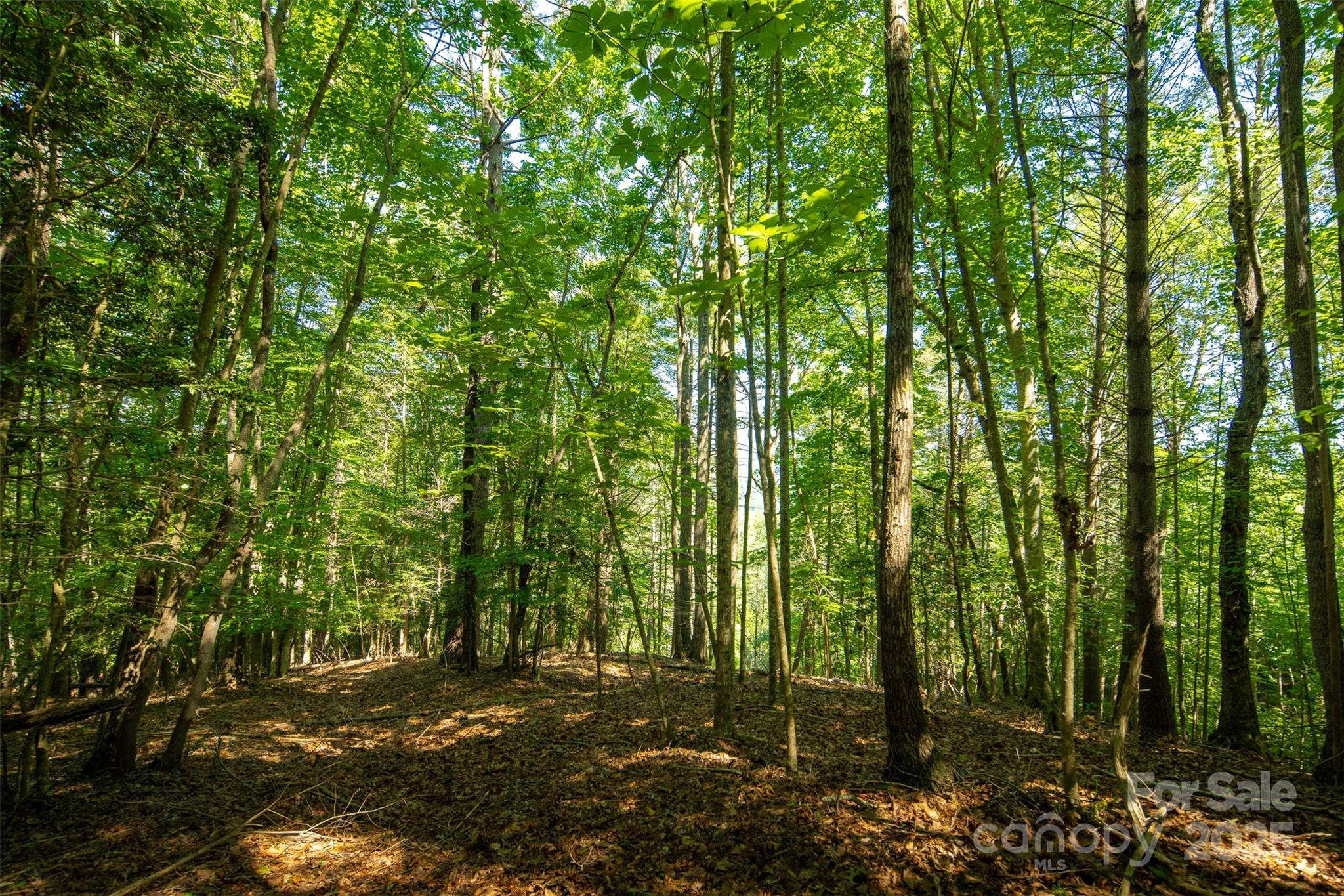 Tbd Winklers Way Road Property Photo 31