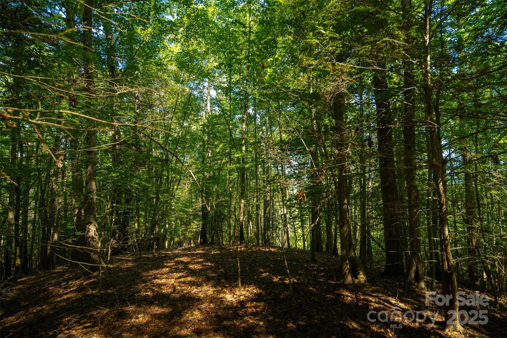 Tbd Winklers Way Road Property Photo 32