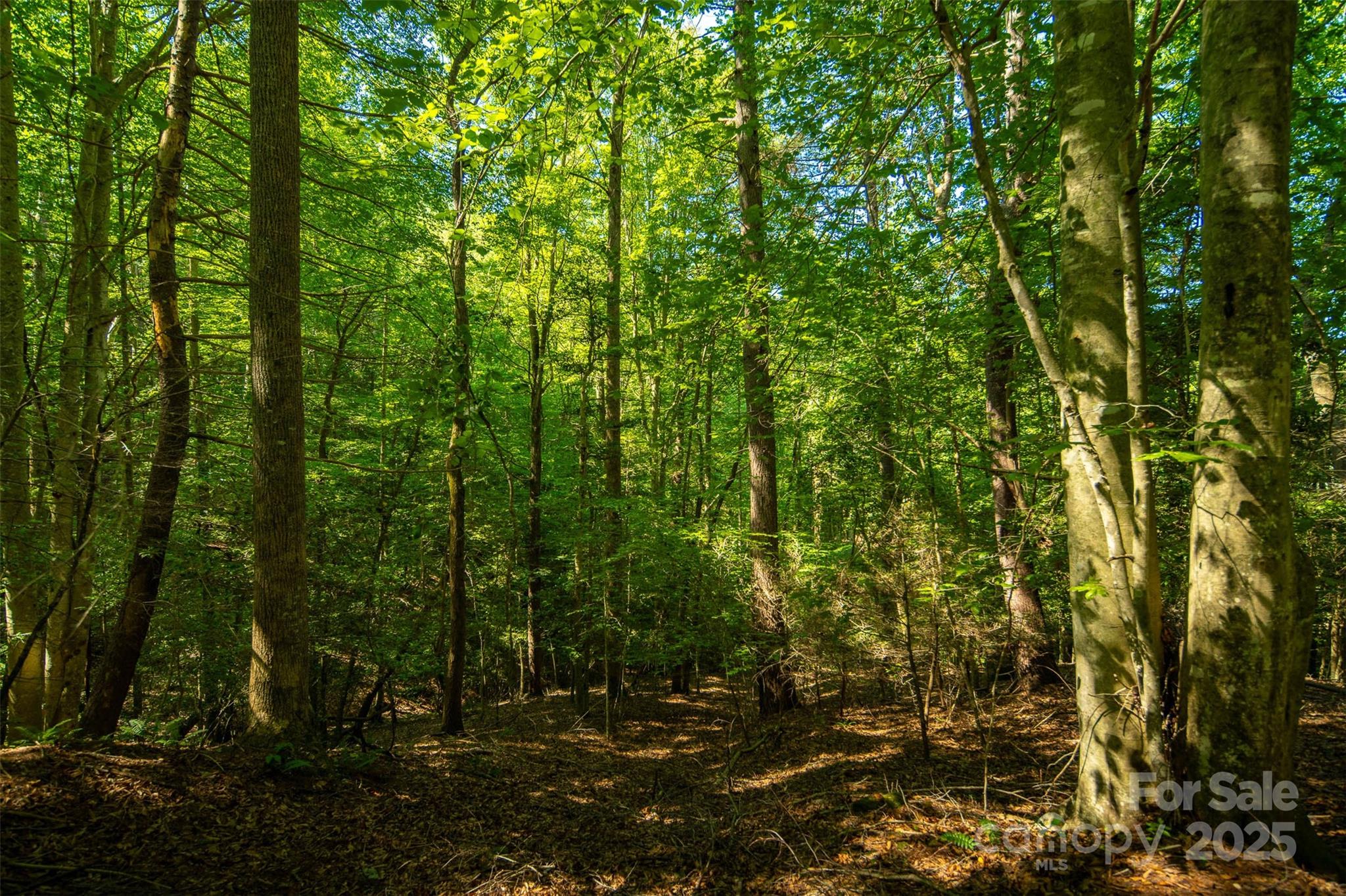 Tbd Winklers Way Road Property Photo 33