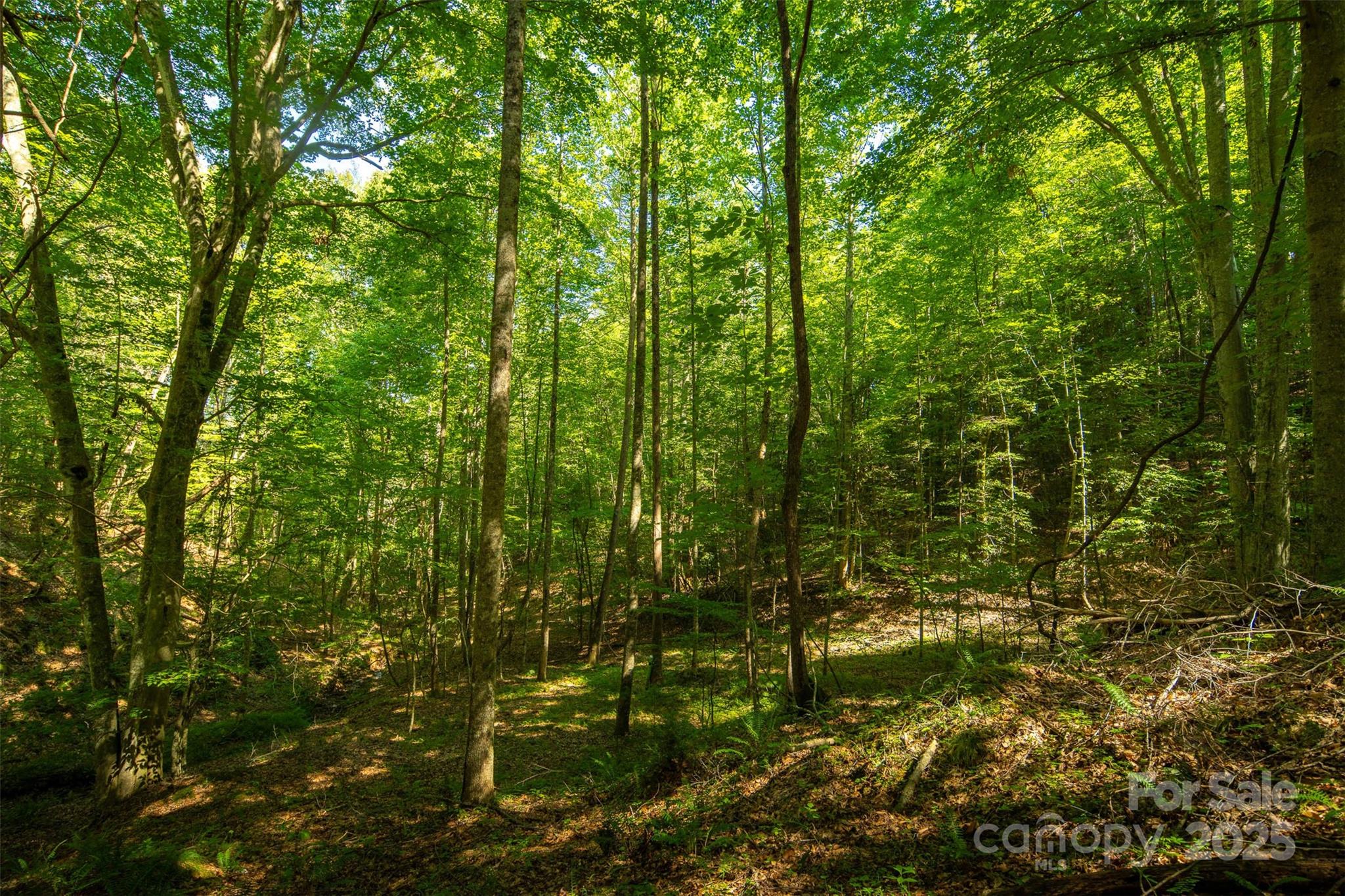 Tbd Winklers Way Road Property Photo 34