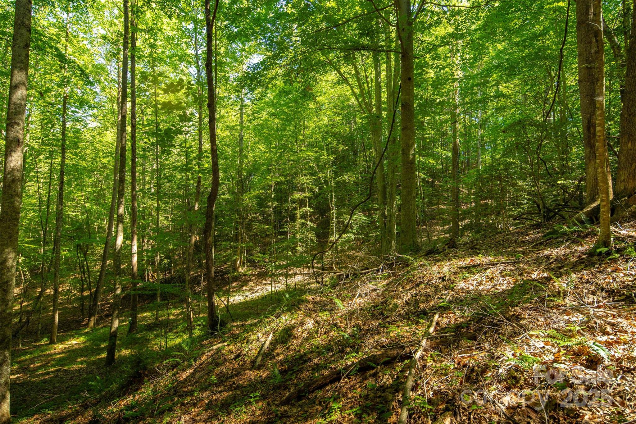 Tbd Winklers Way Road Property Photo 35