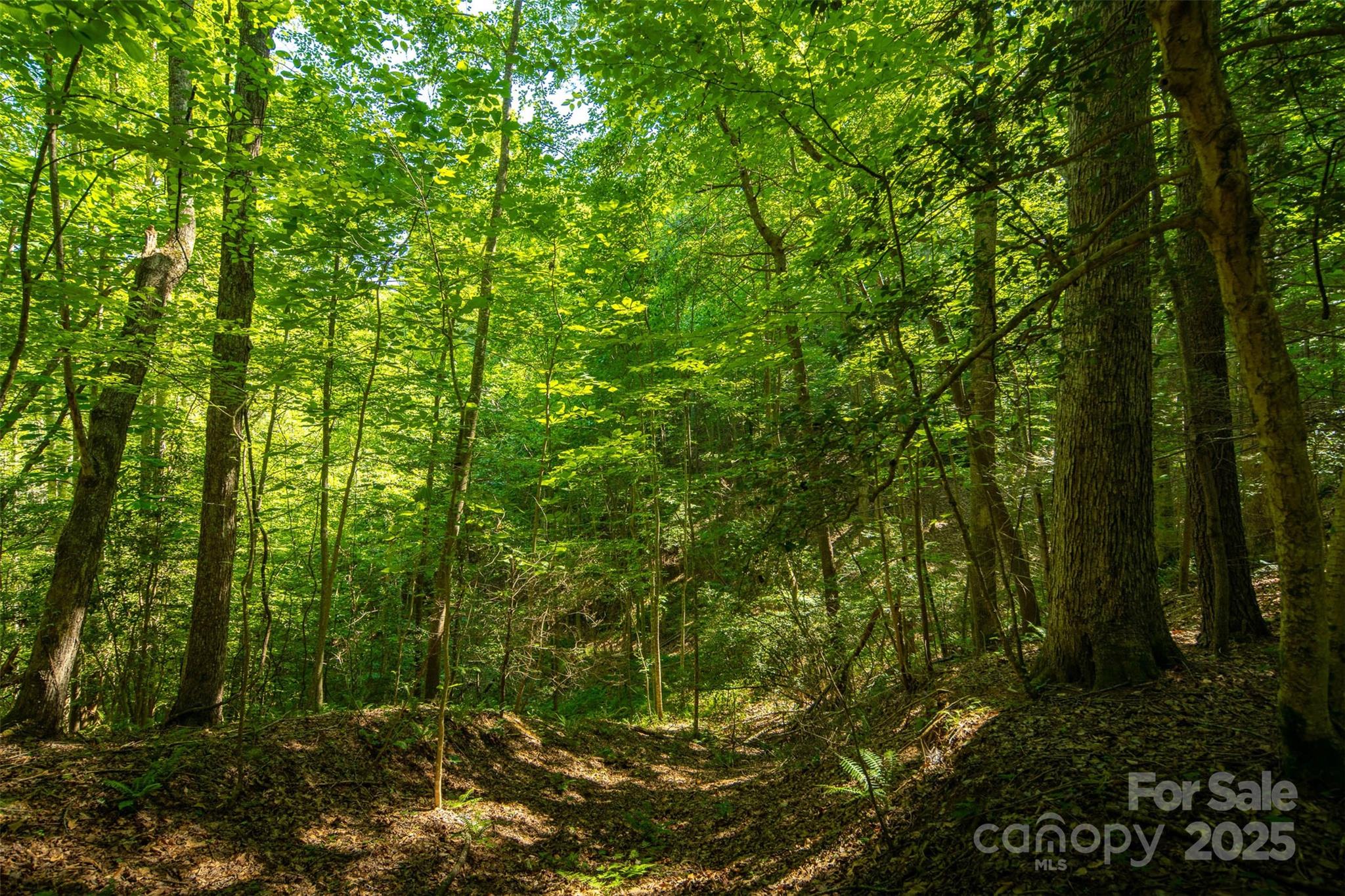 Tbd Winklers Way Road Property Photo 36