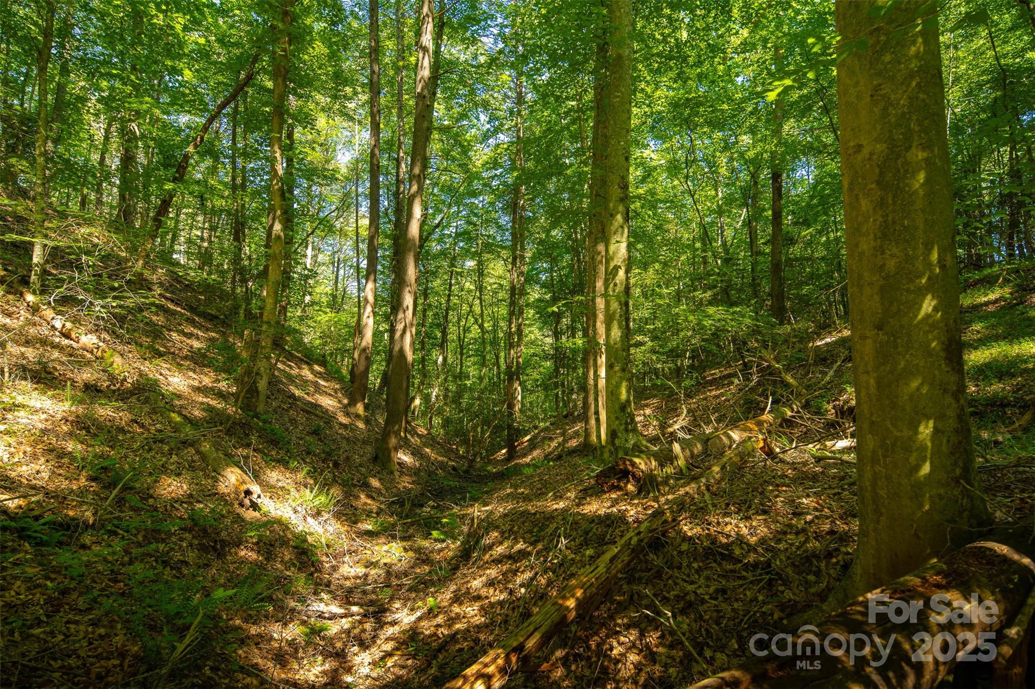 Tbd Winklers Way Road Property Photo 37