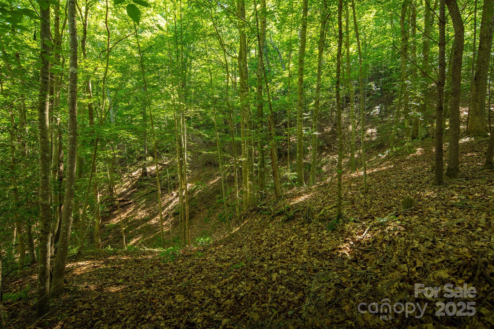 Tbd Winklers Way Road Property Photo 38