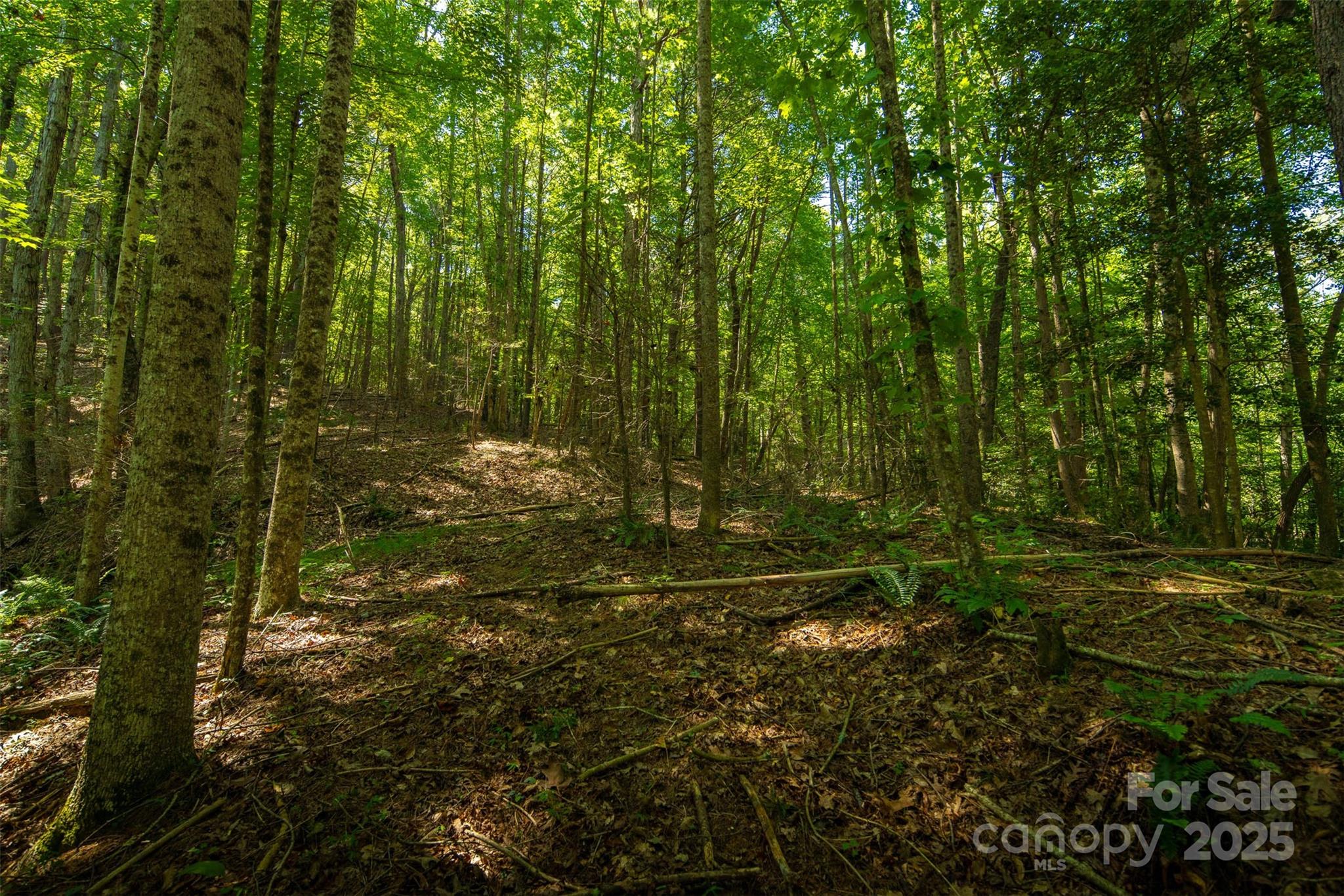 Tbd Winklers Way Road Property Photo 39